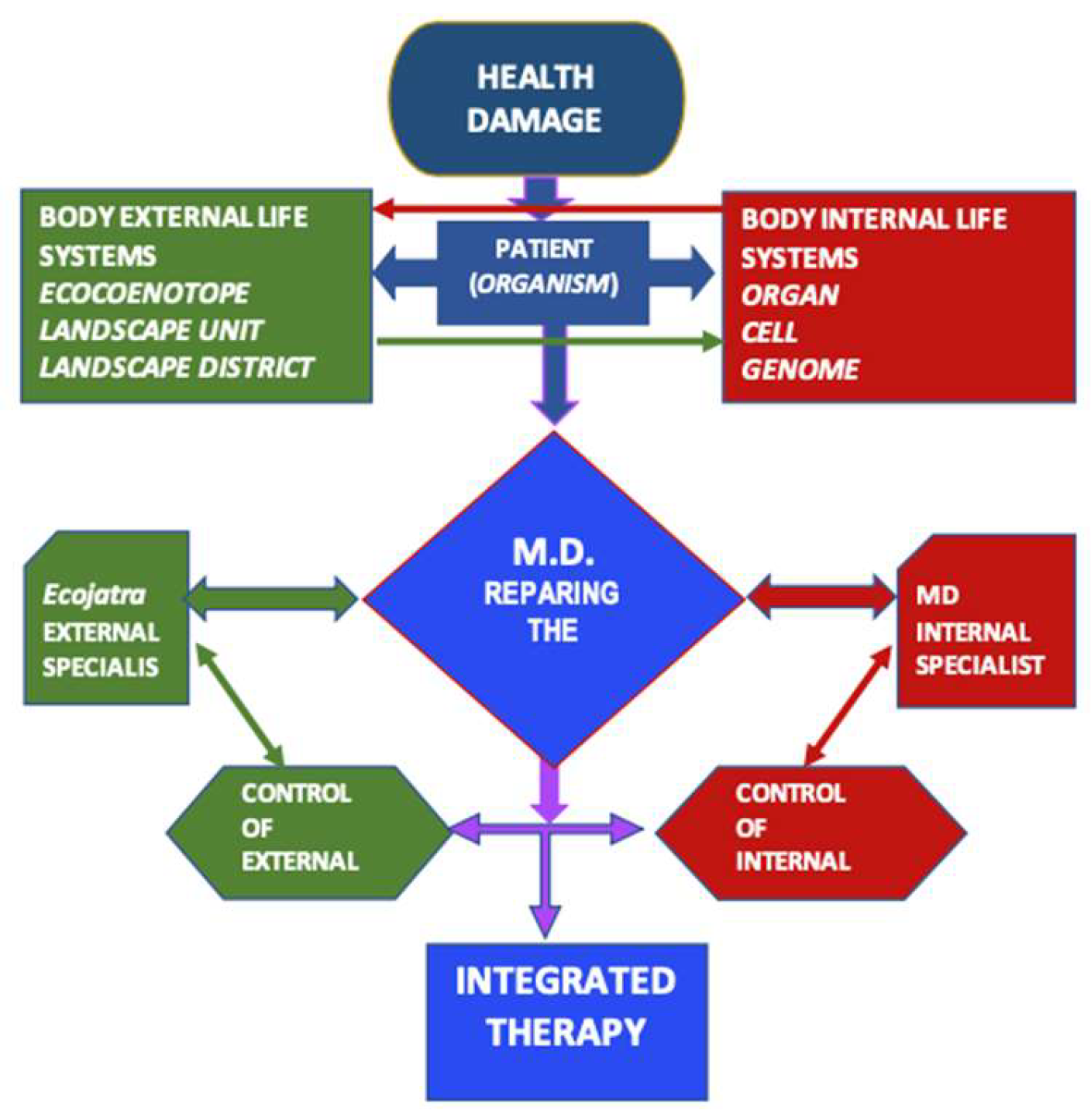 Preprints 143143 g001