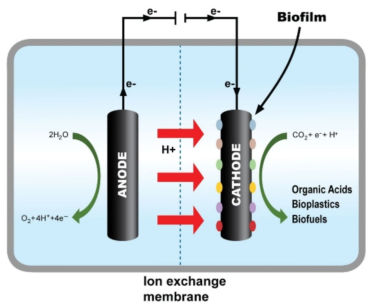 Preprints 173512 g001