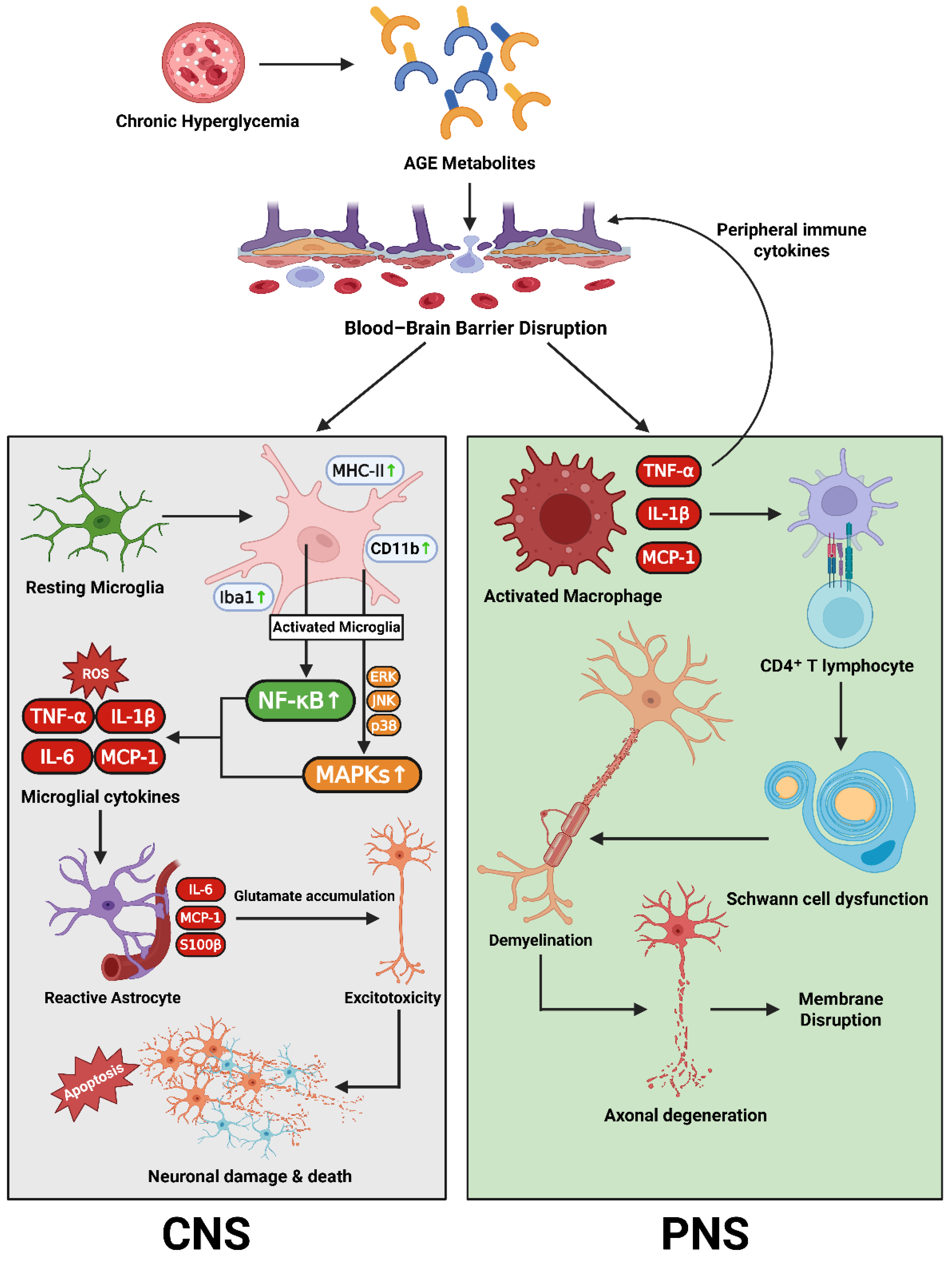 Preprints 172680 g001