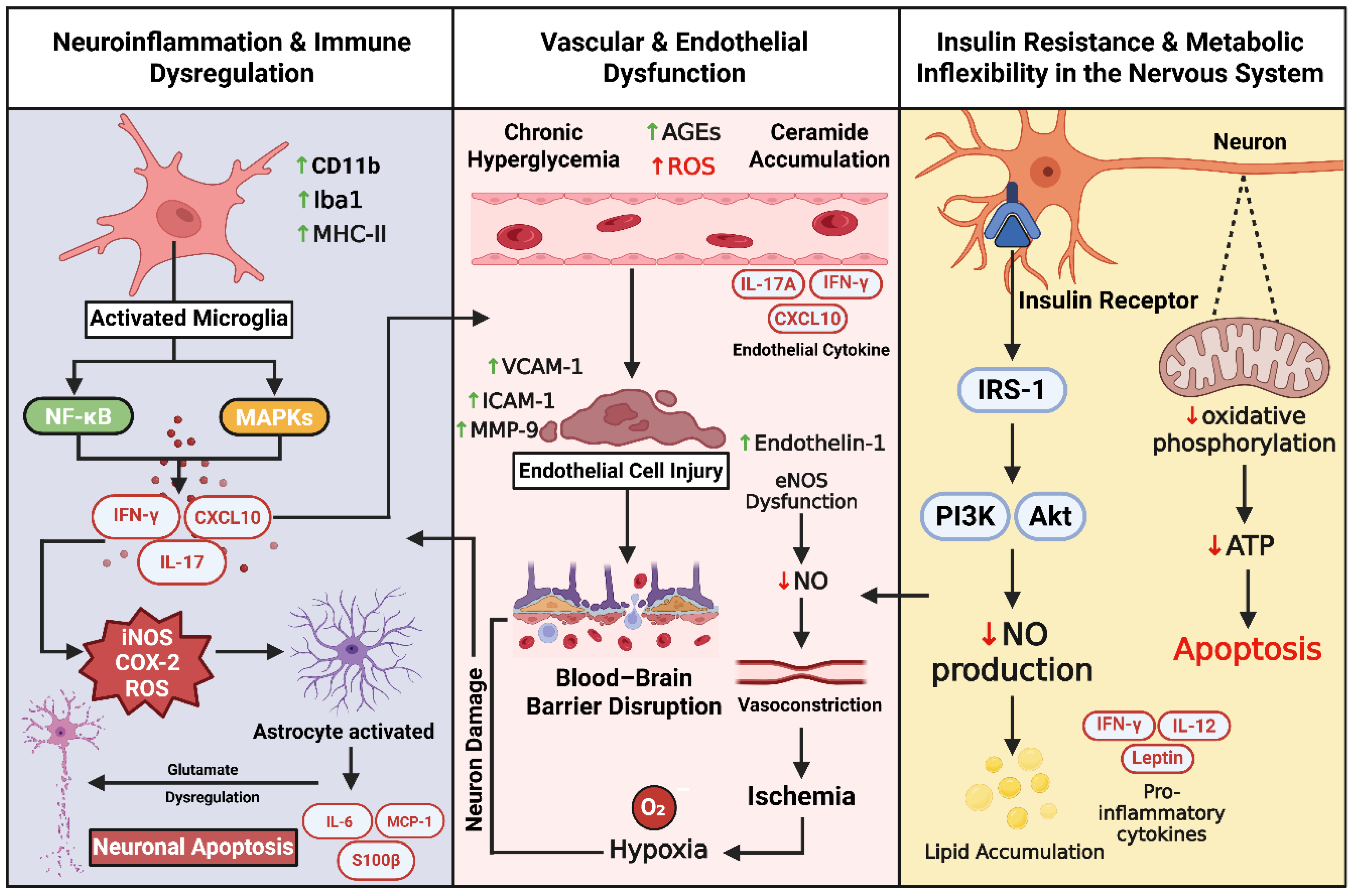 Preprints 172680 g003