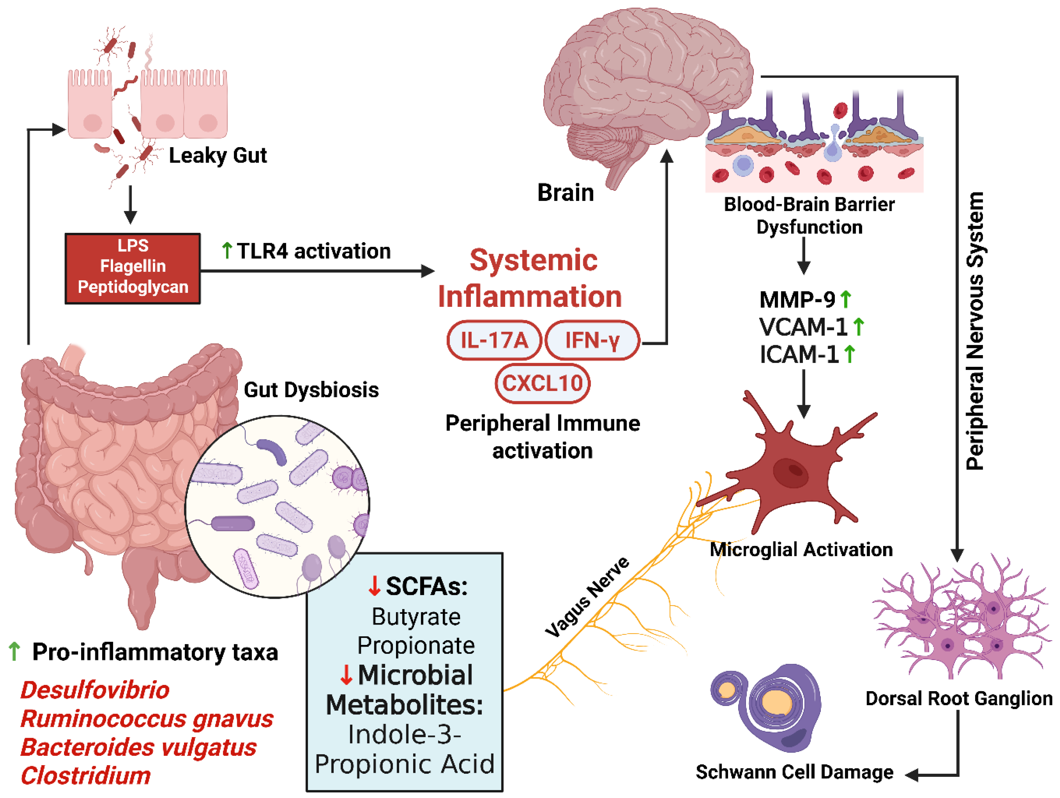 Preprints 172680 g004