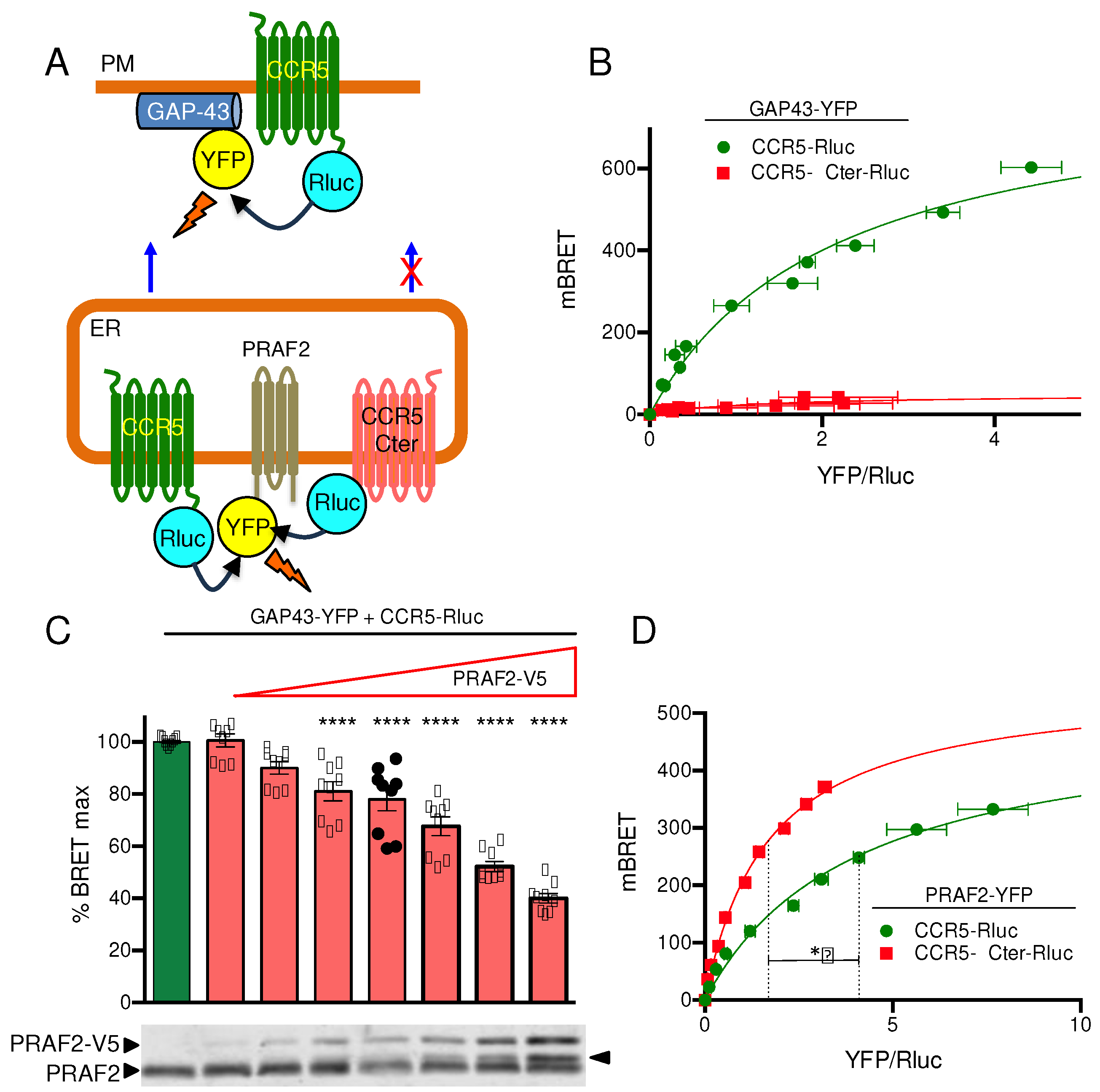 Preprints 90217 g002