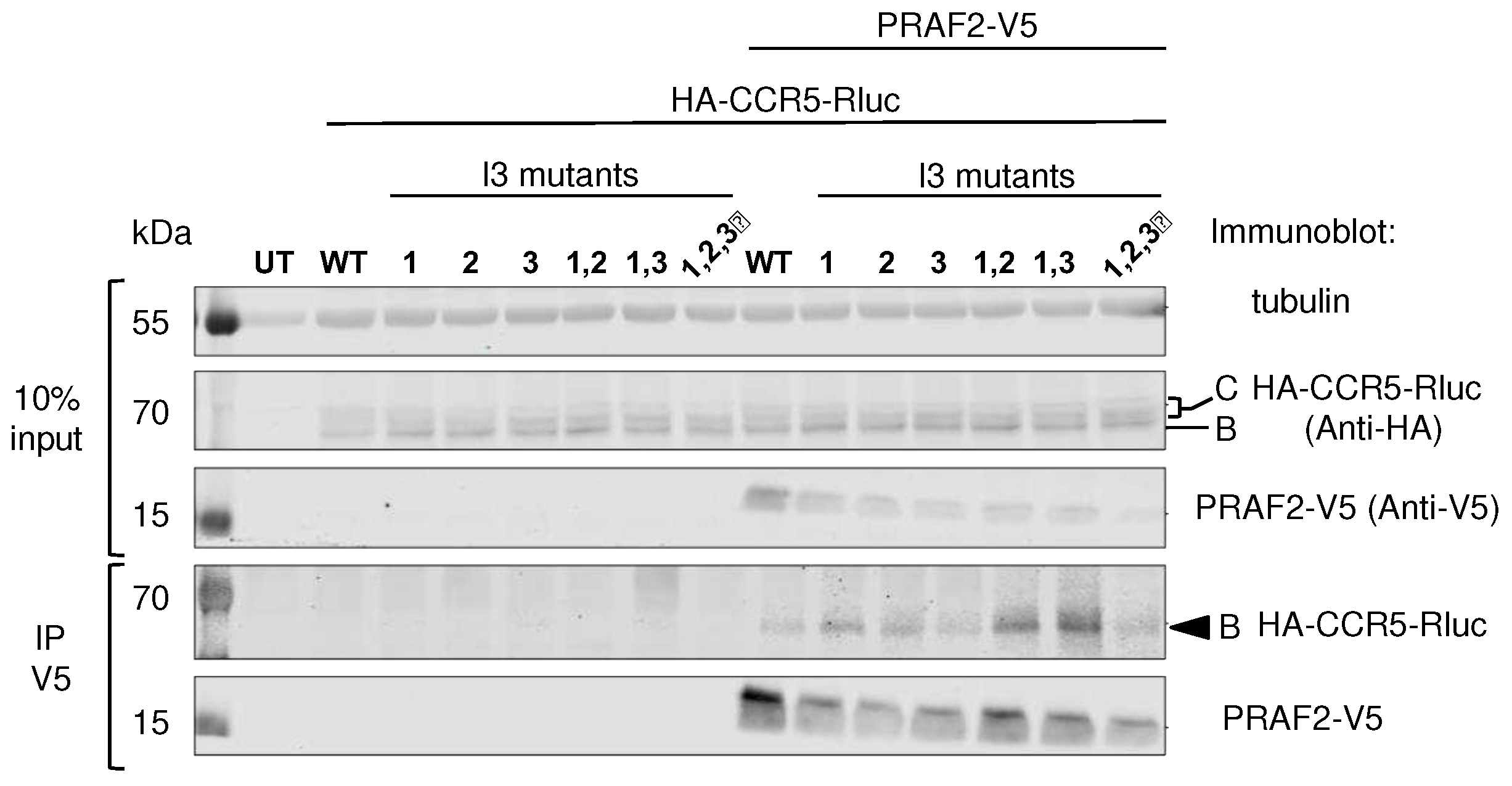Preprints 90217 g004