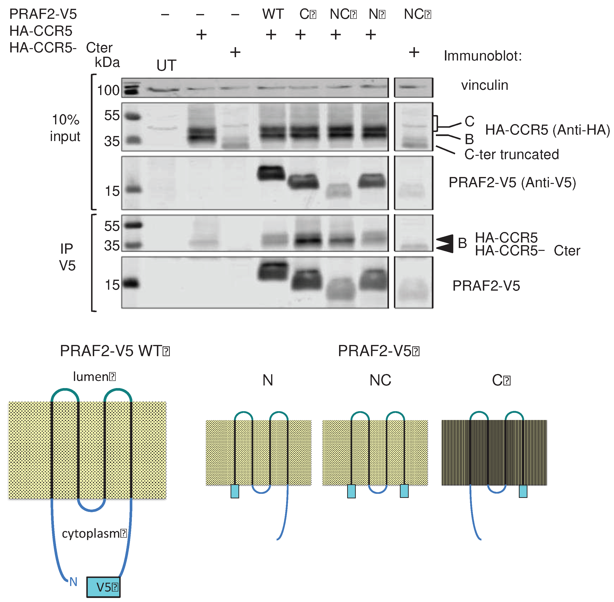 Preprints 90217 g006
