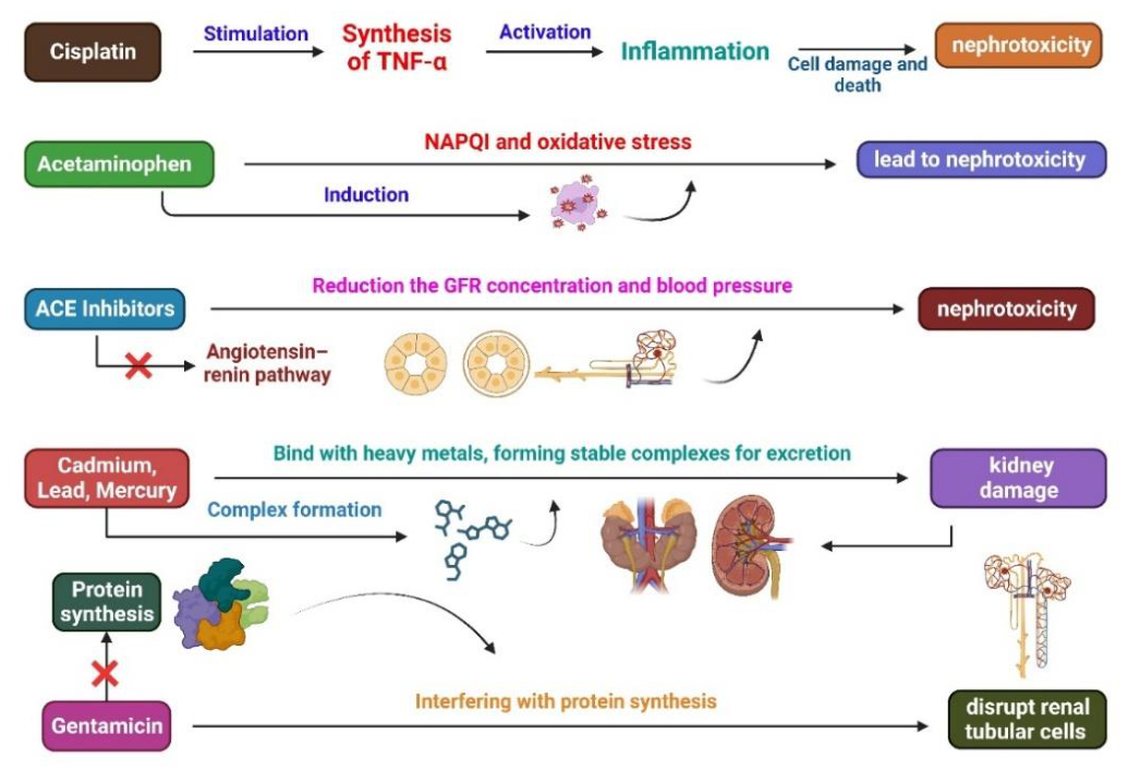 Preprints 236107 g002