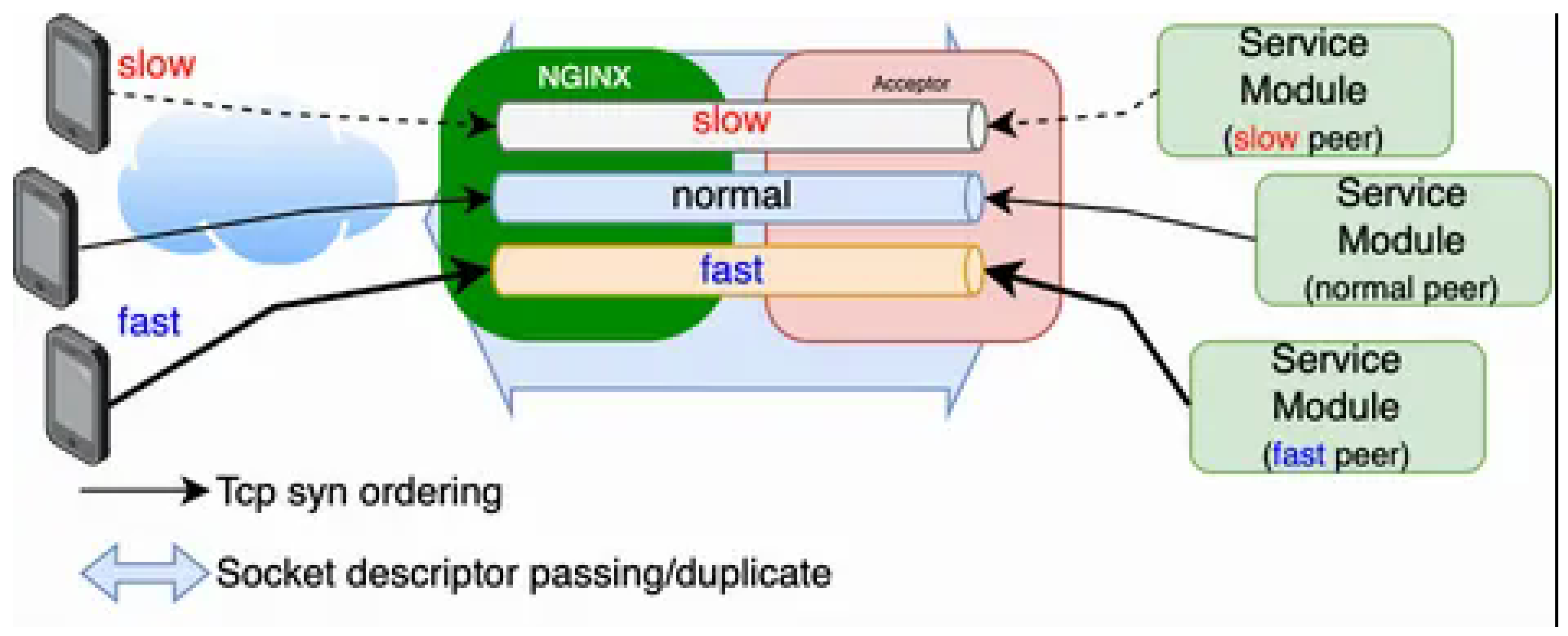 Preprints 194957 g002