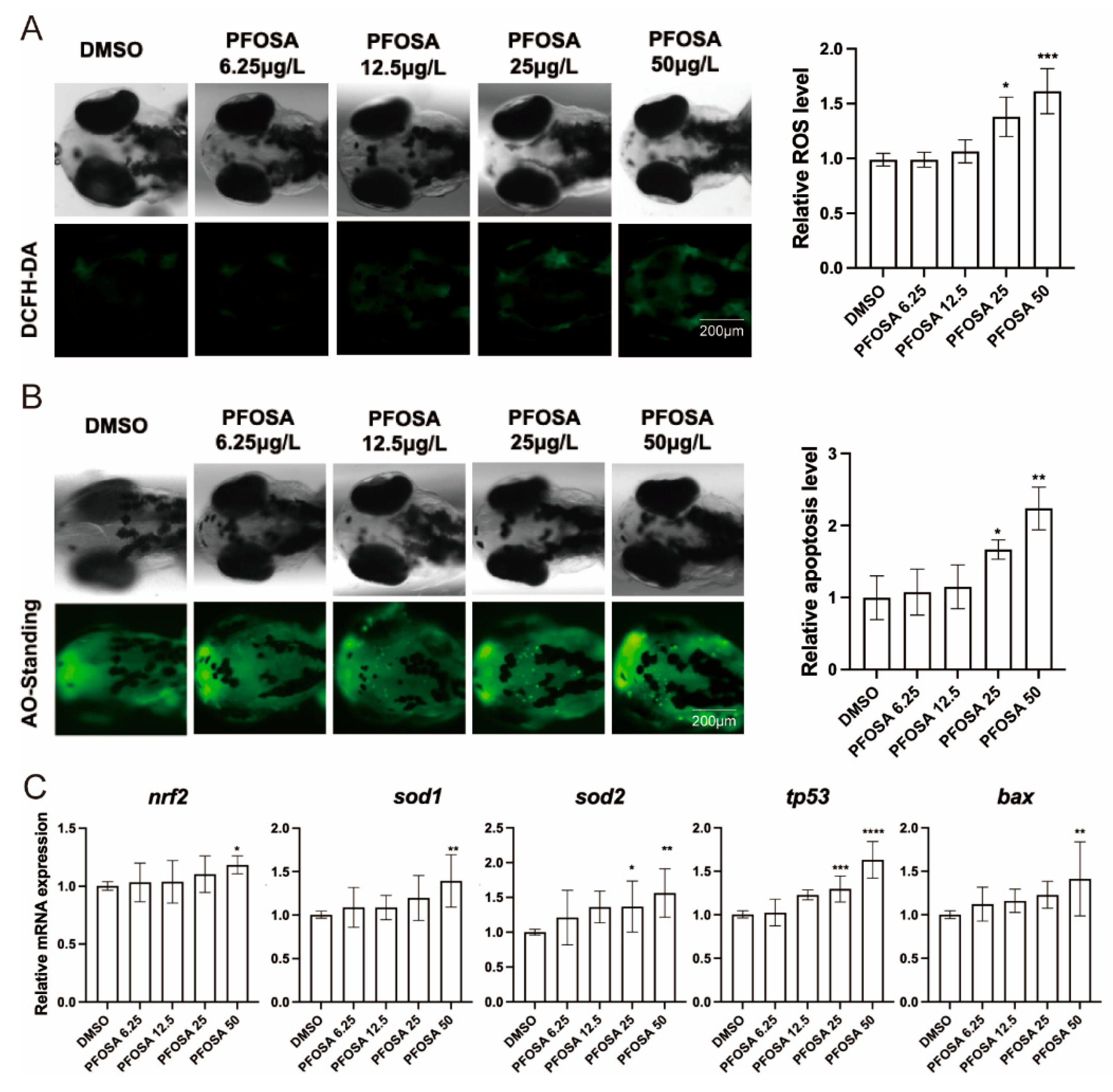 Preprints 173857 g003