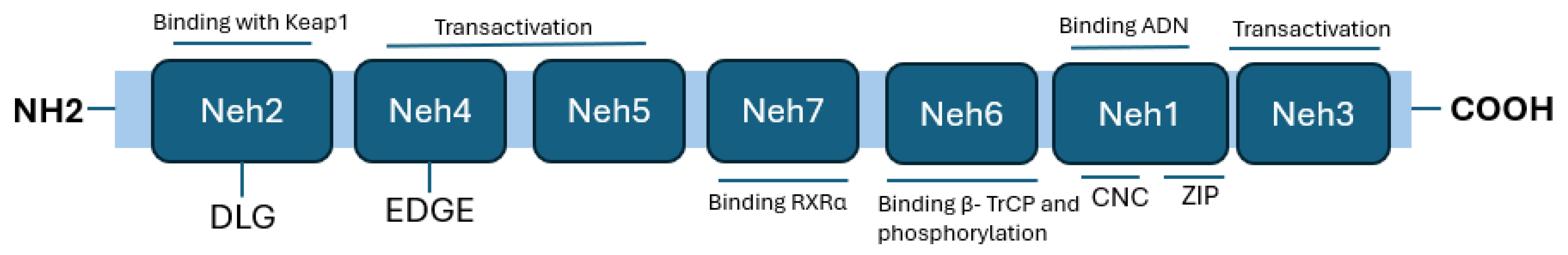 Preprints 160386 g001