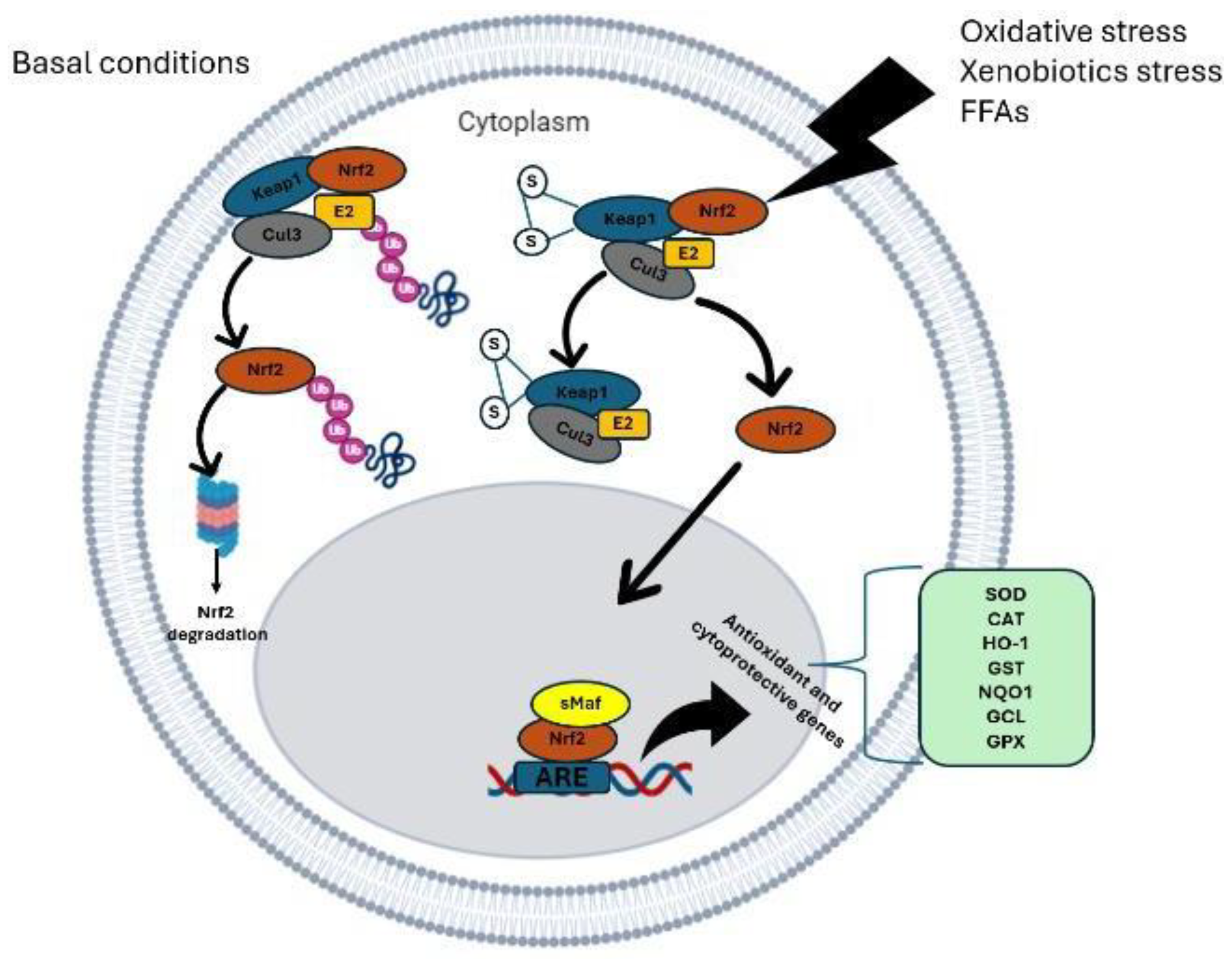 Preprints 160386 g002