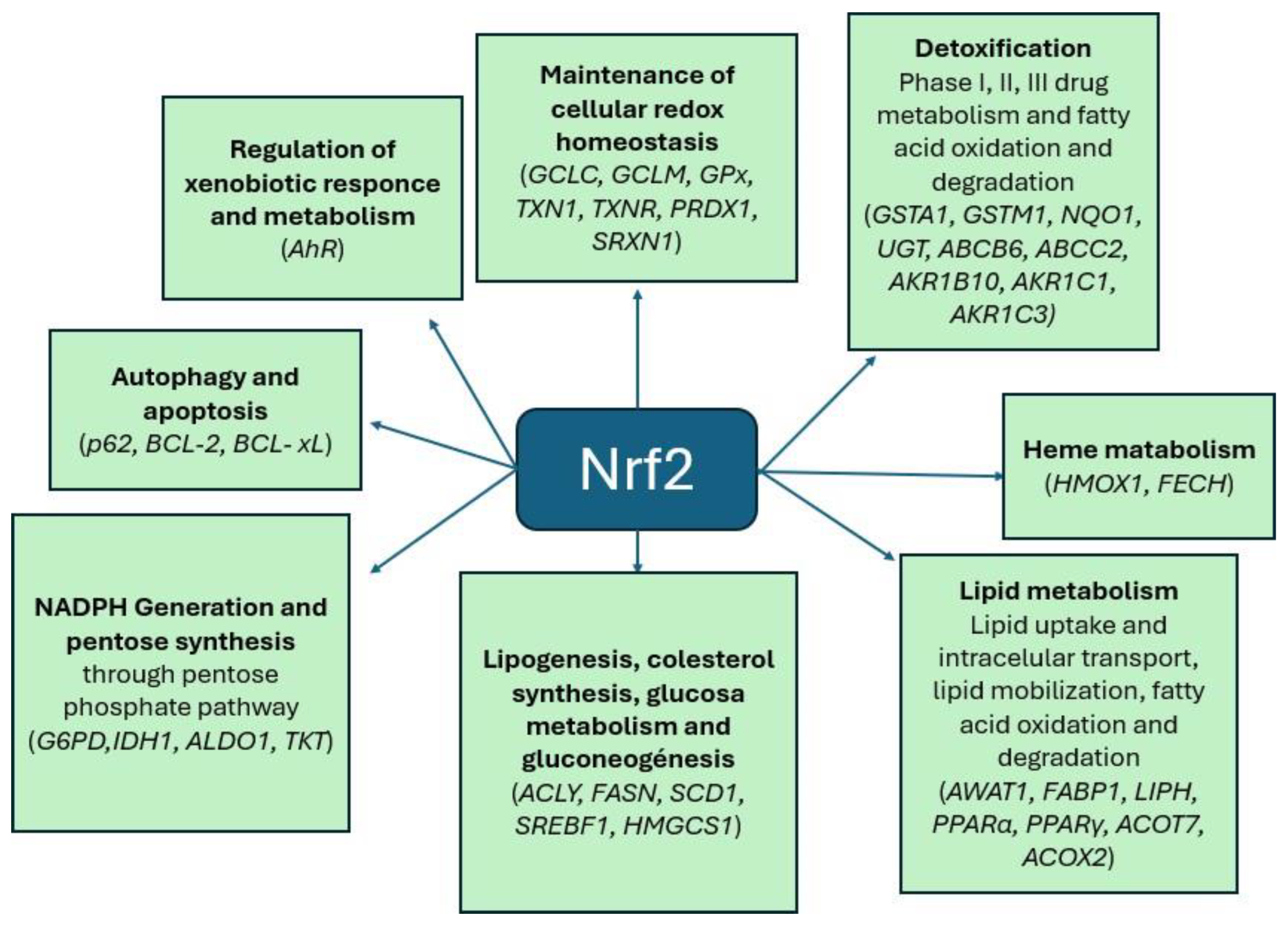 Preprints 160386 g003