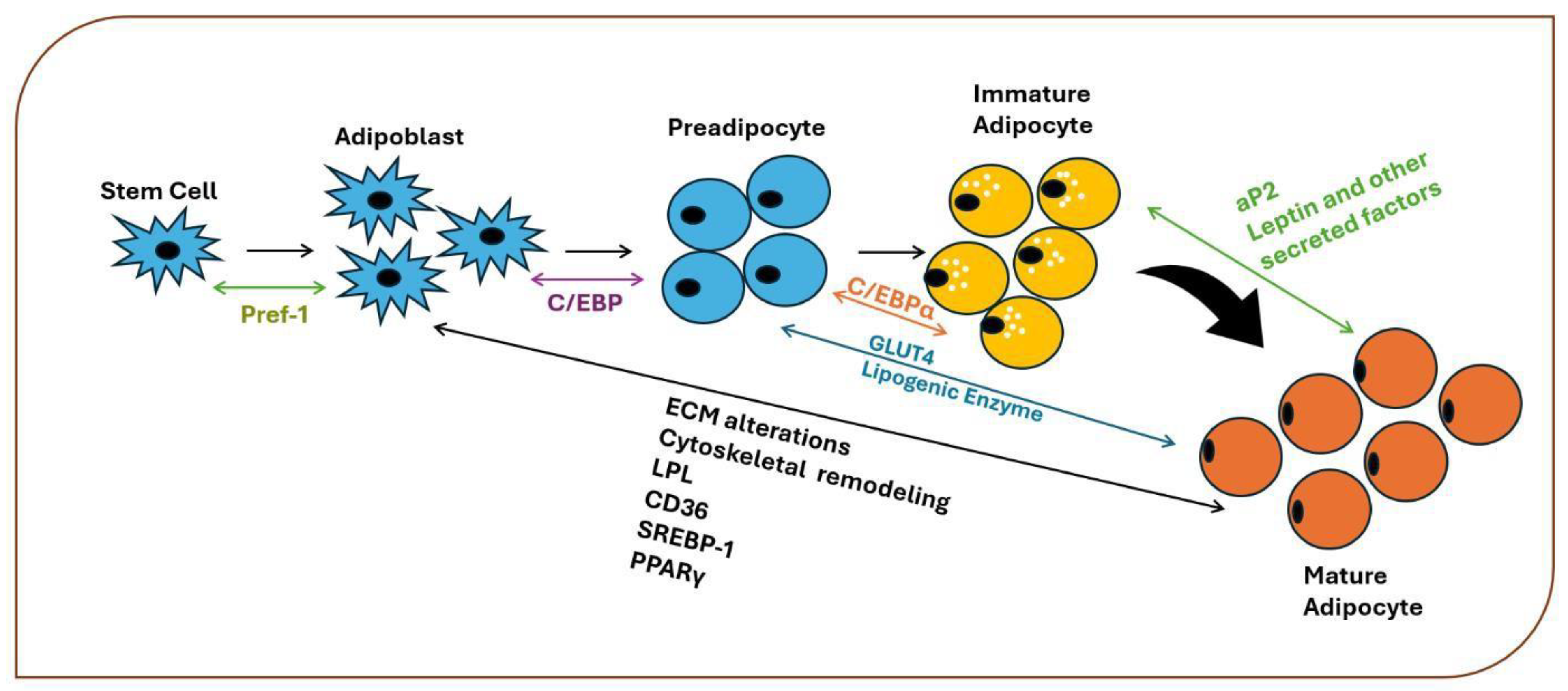 Preprints 160386 g004