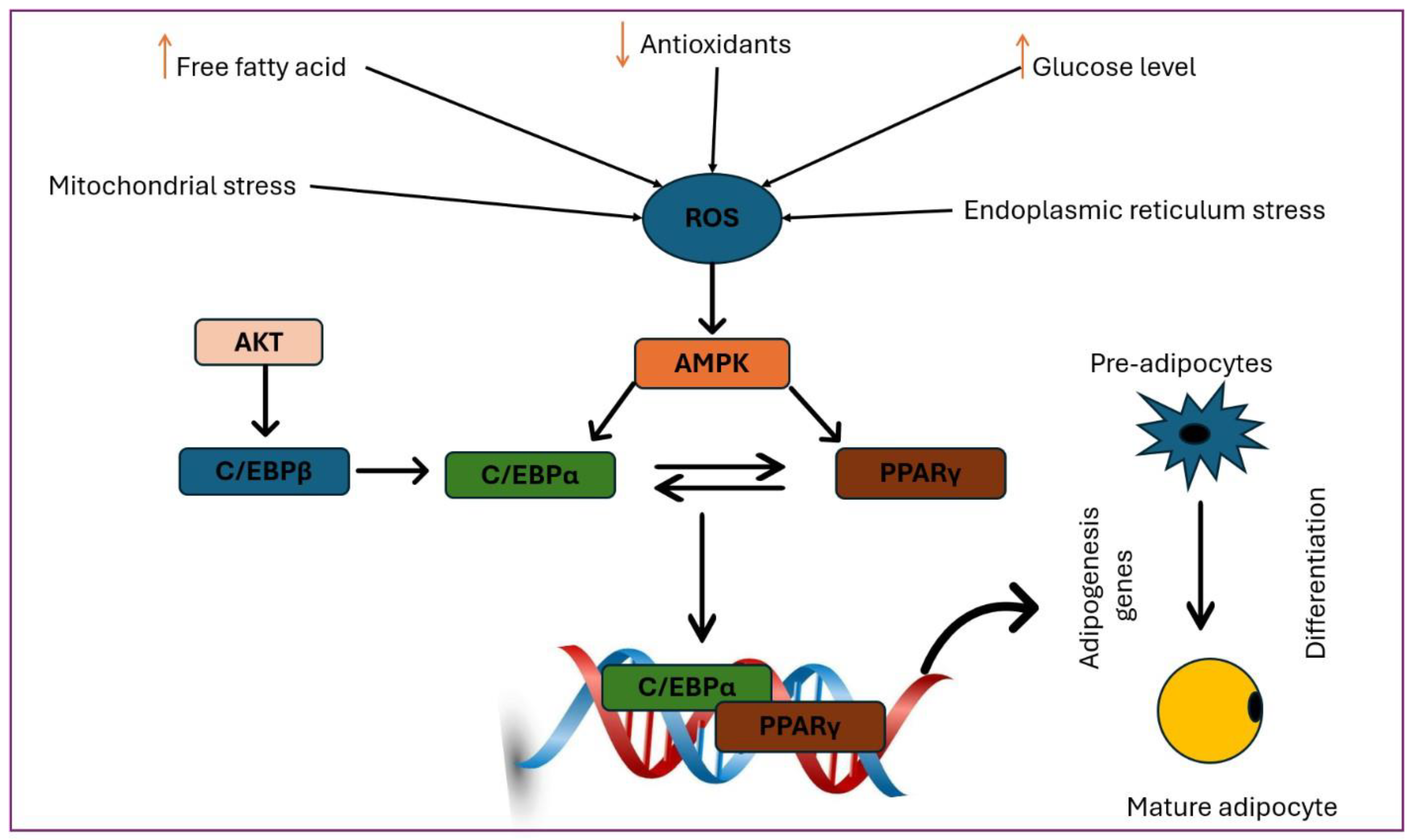 Preprints 160386 g005