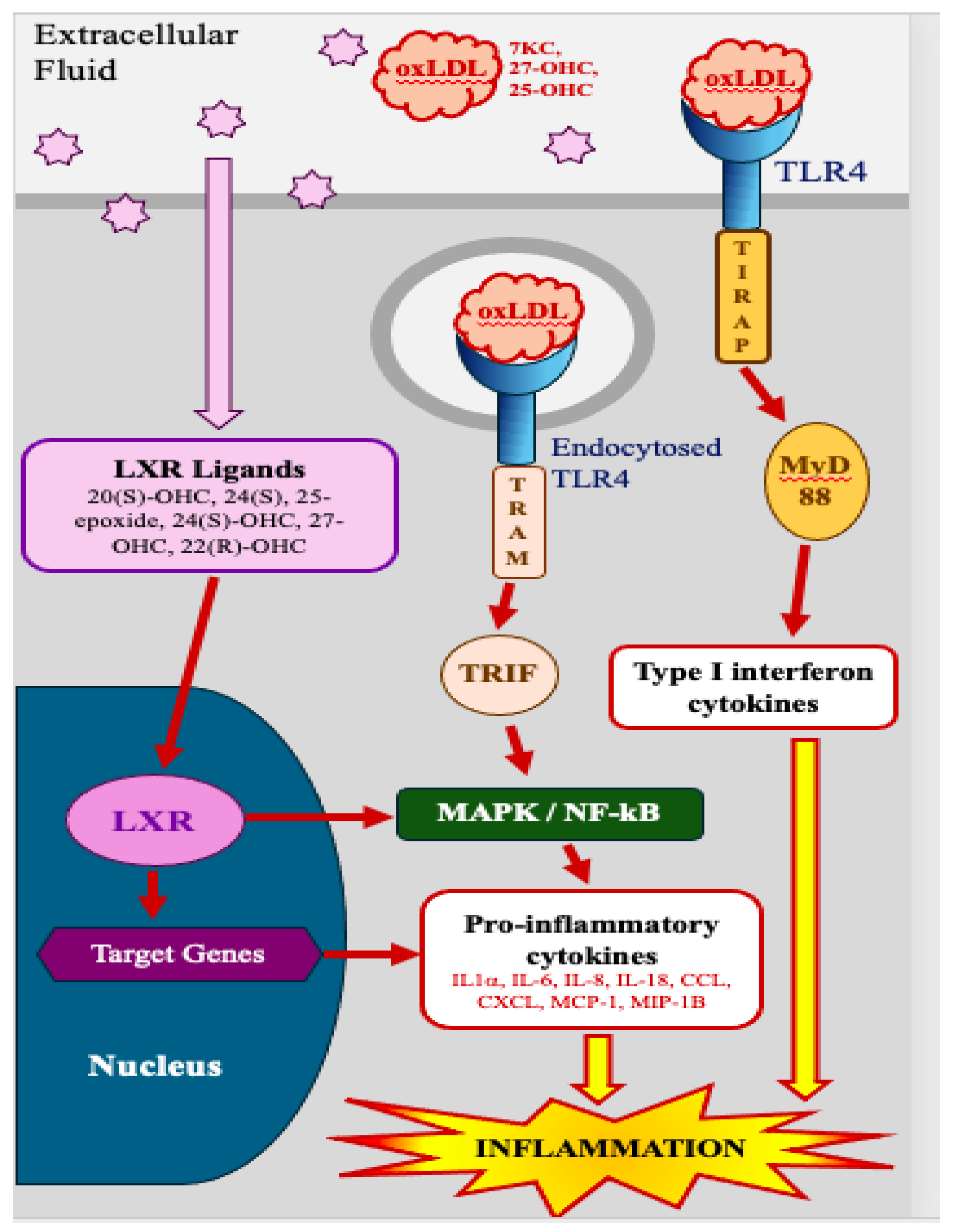 Preprints 157031 g002