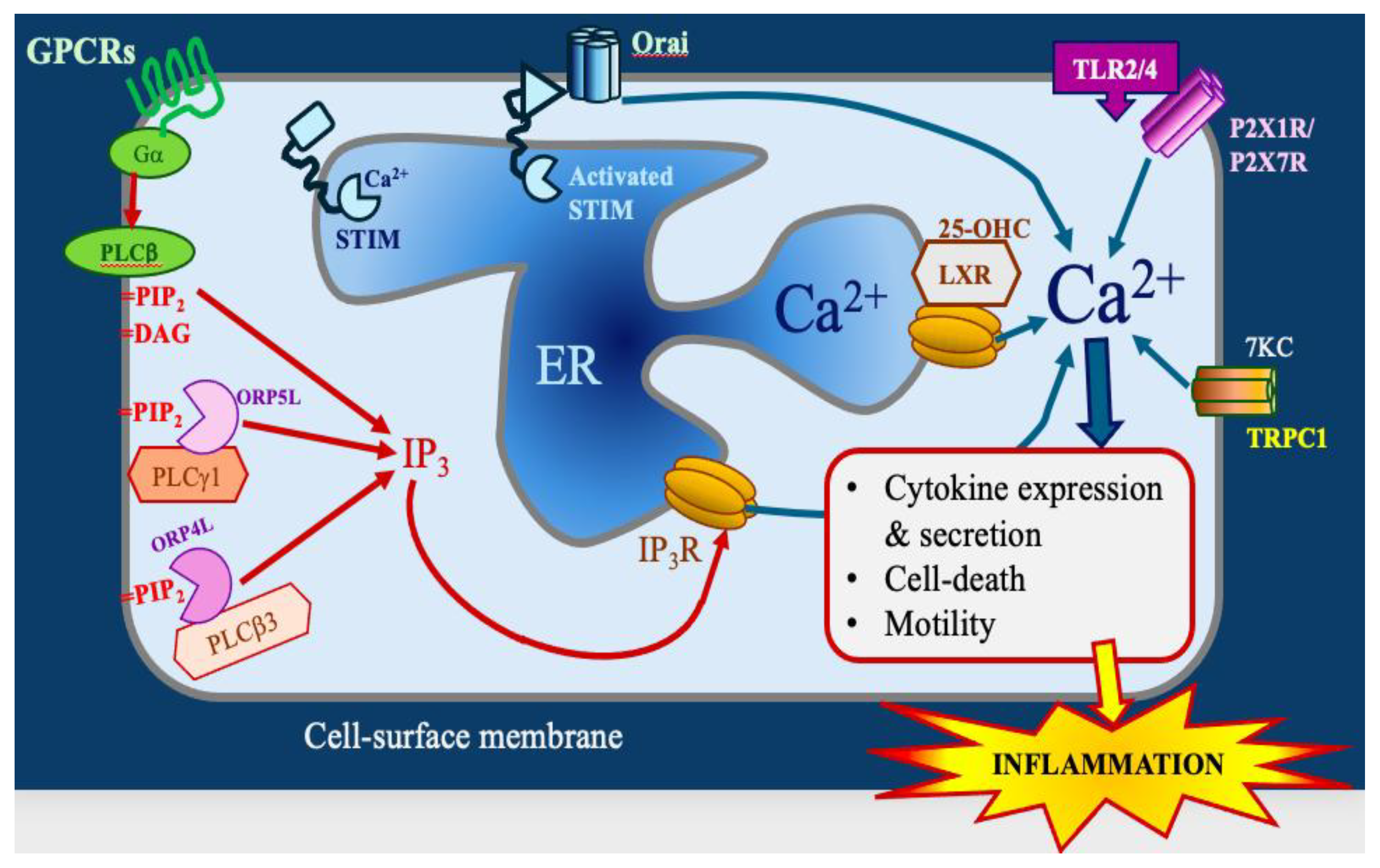 Preprints 157031 g003