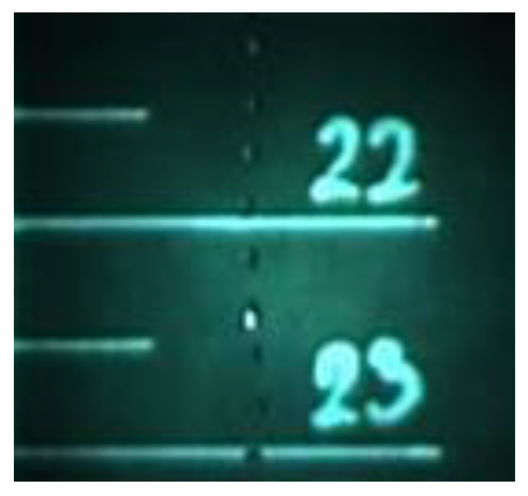 Preprints 161078 g002