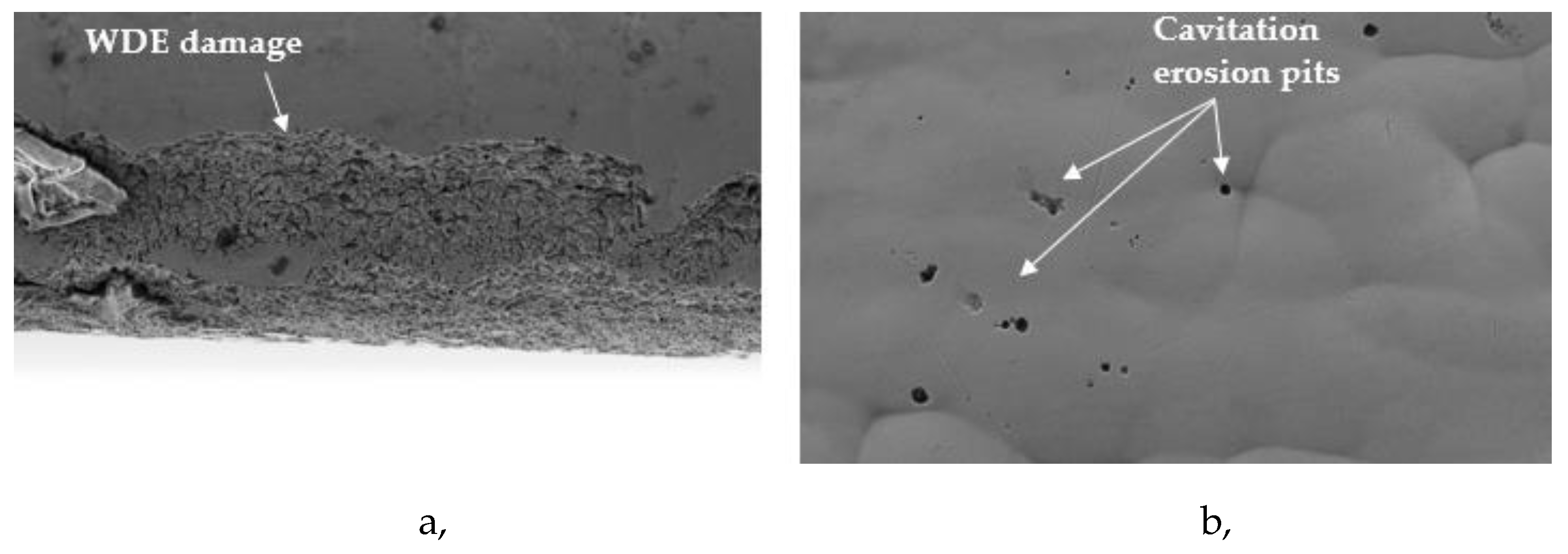 Preprints 161078 g006