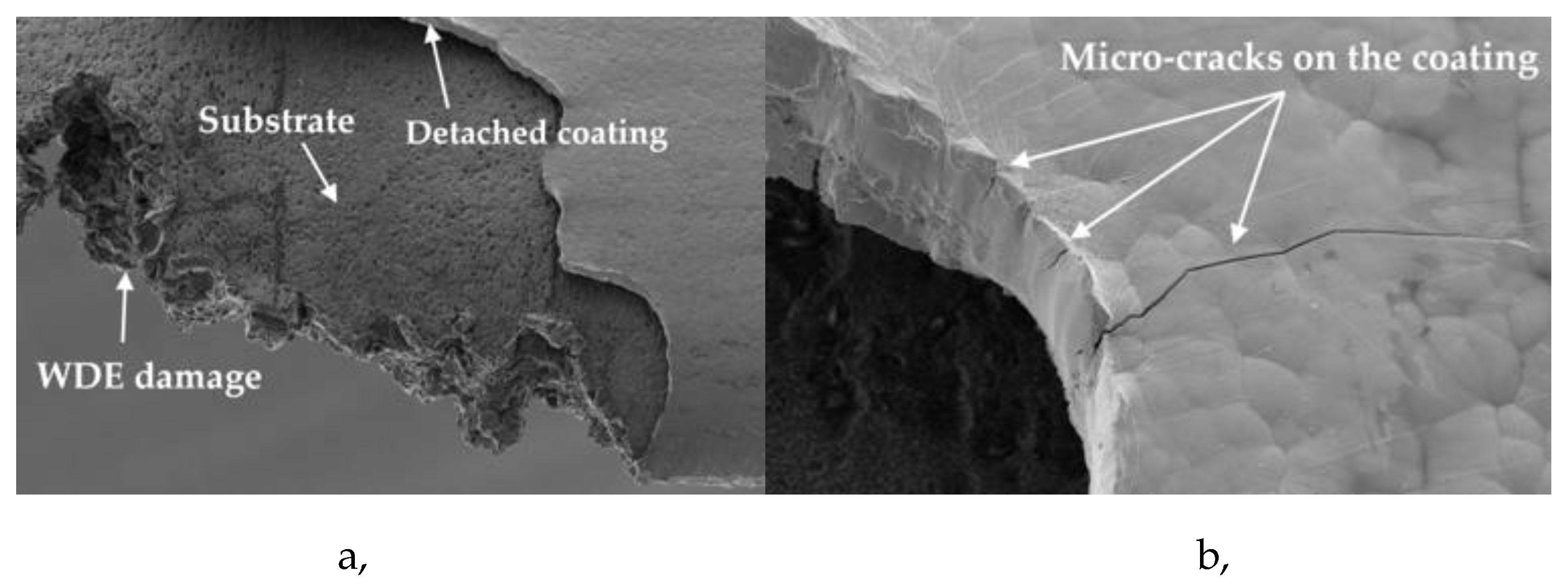 Preprints 161078 g007