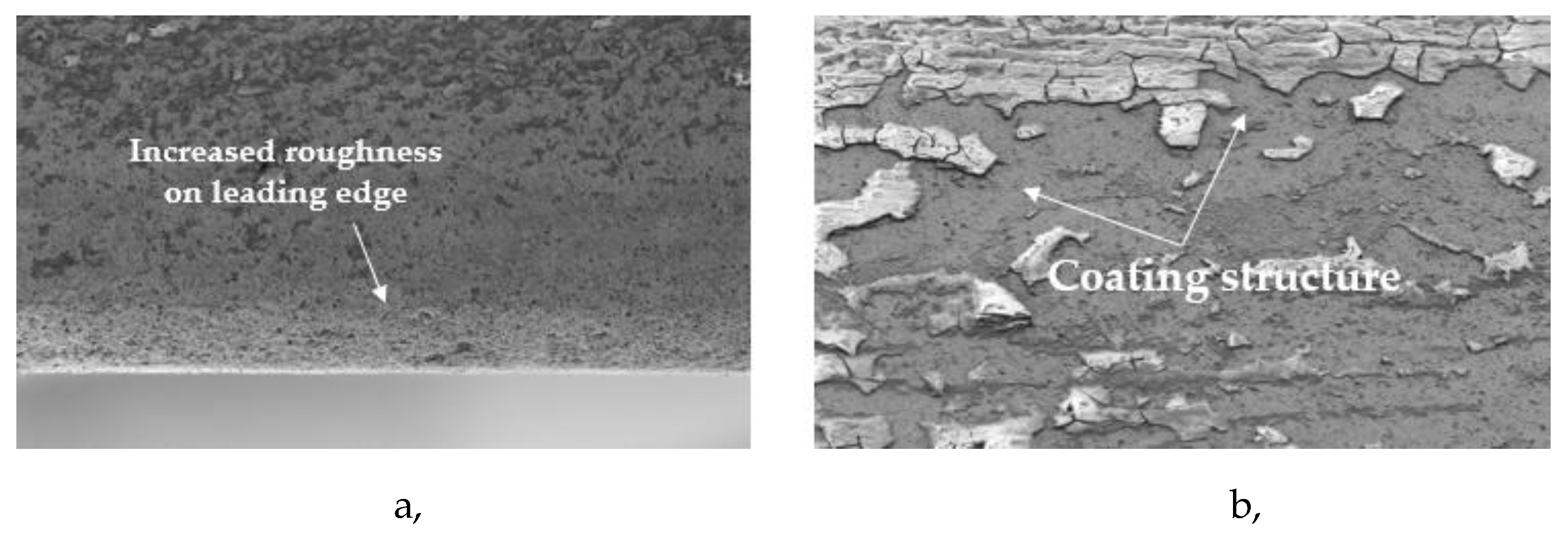 Preprints 161078 g008