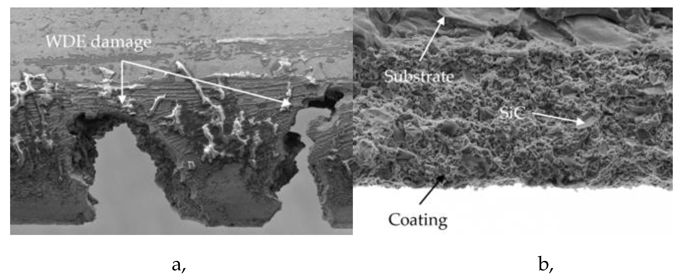 Preprints 161078 g009