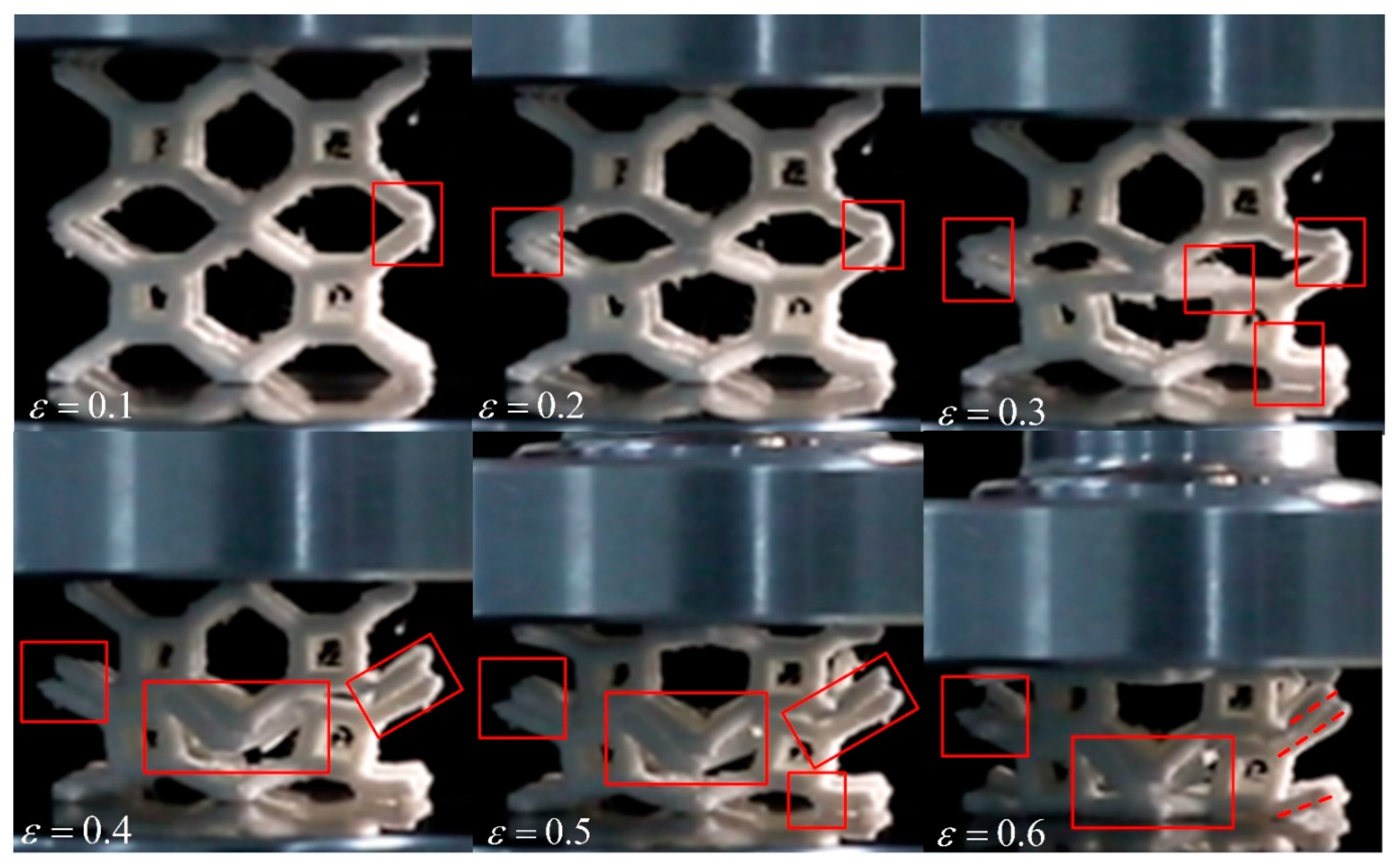 Preprints 97731 g021