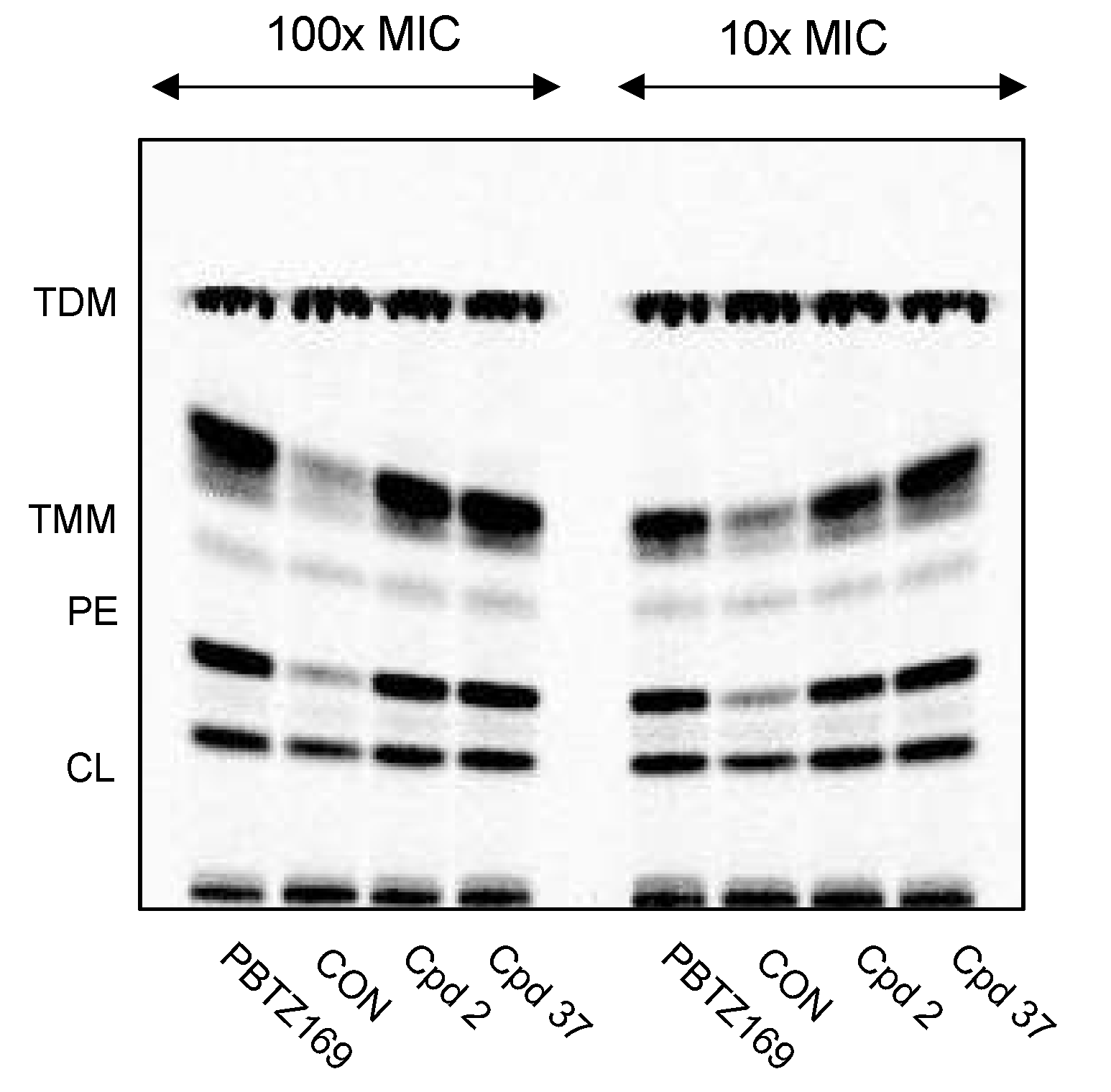 Preprints 74586 g003