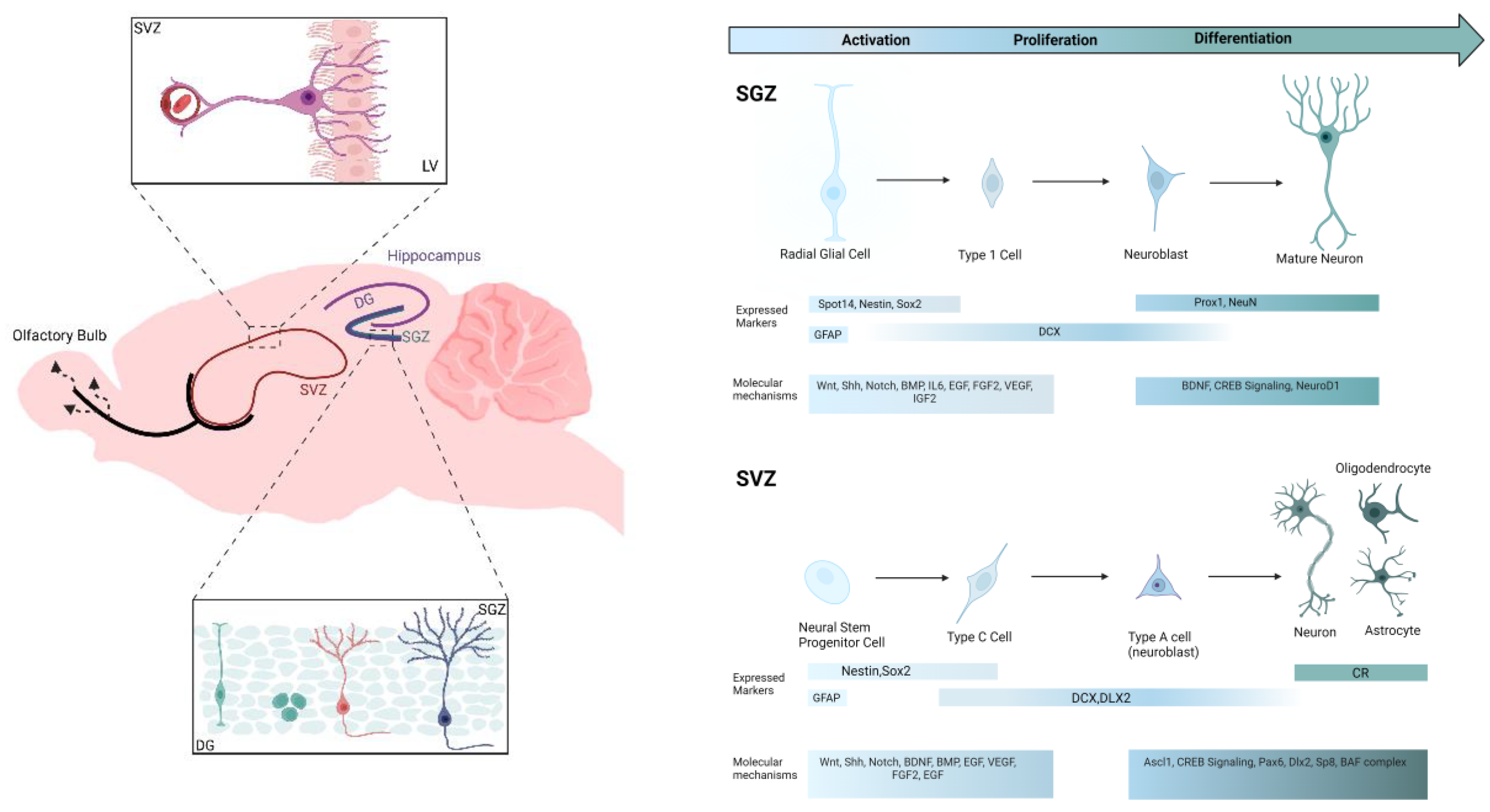 Preprints 172297 g001