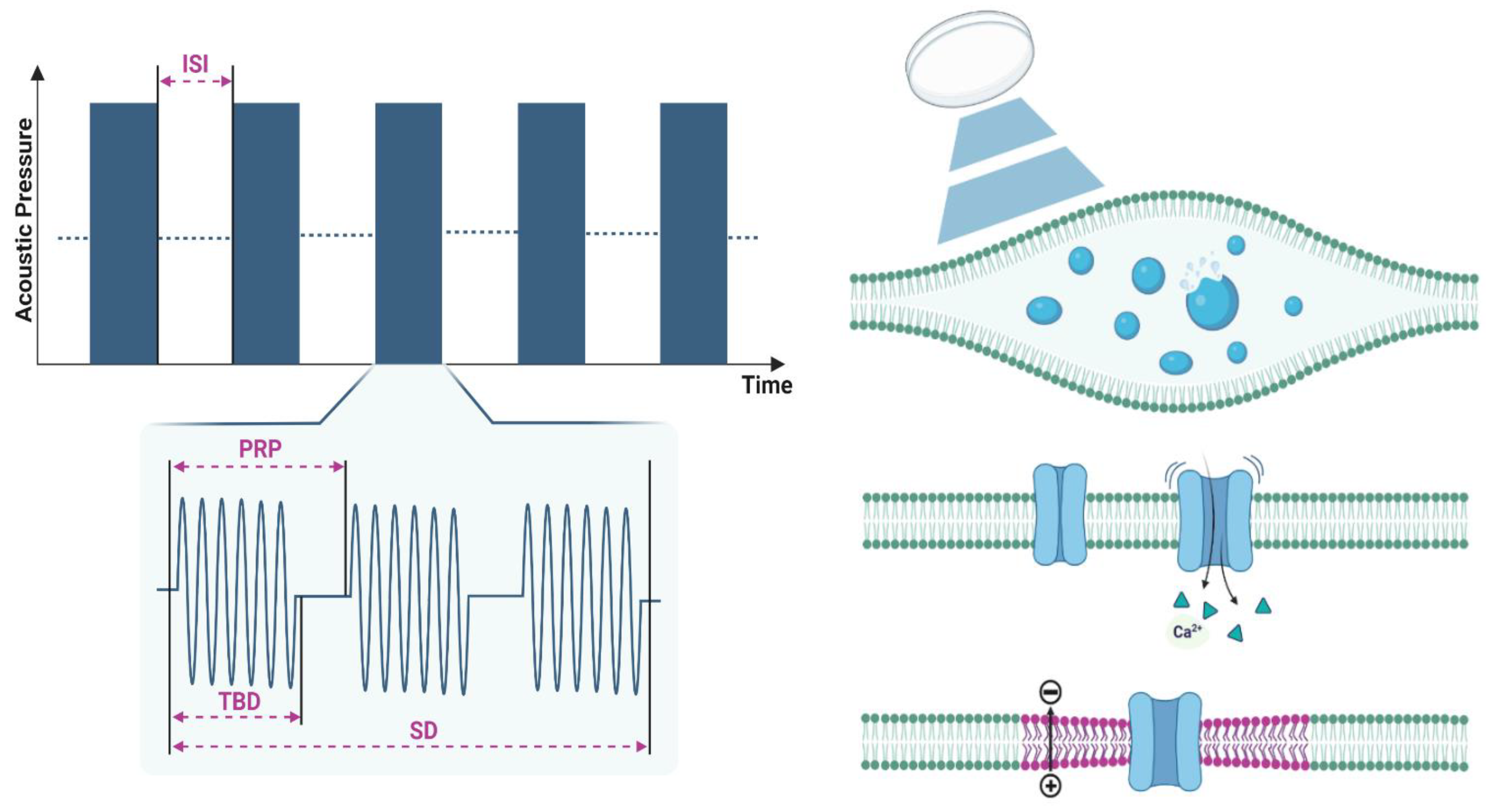 Preprints 172297 g002