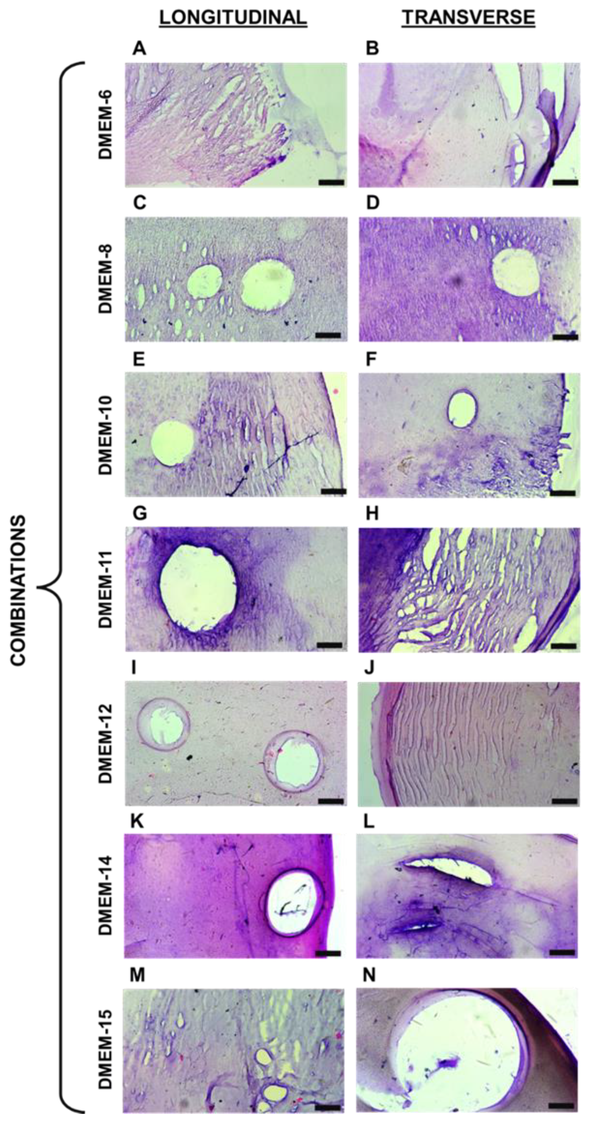 Preprints 142896 g002