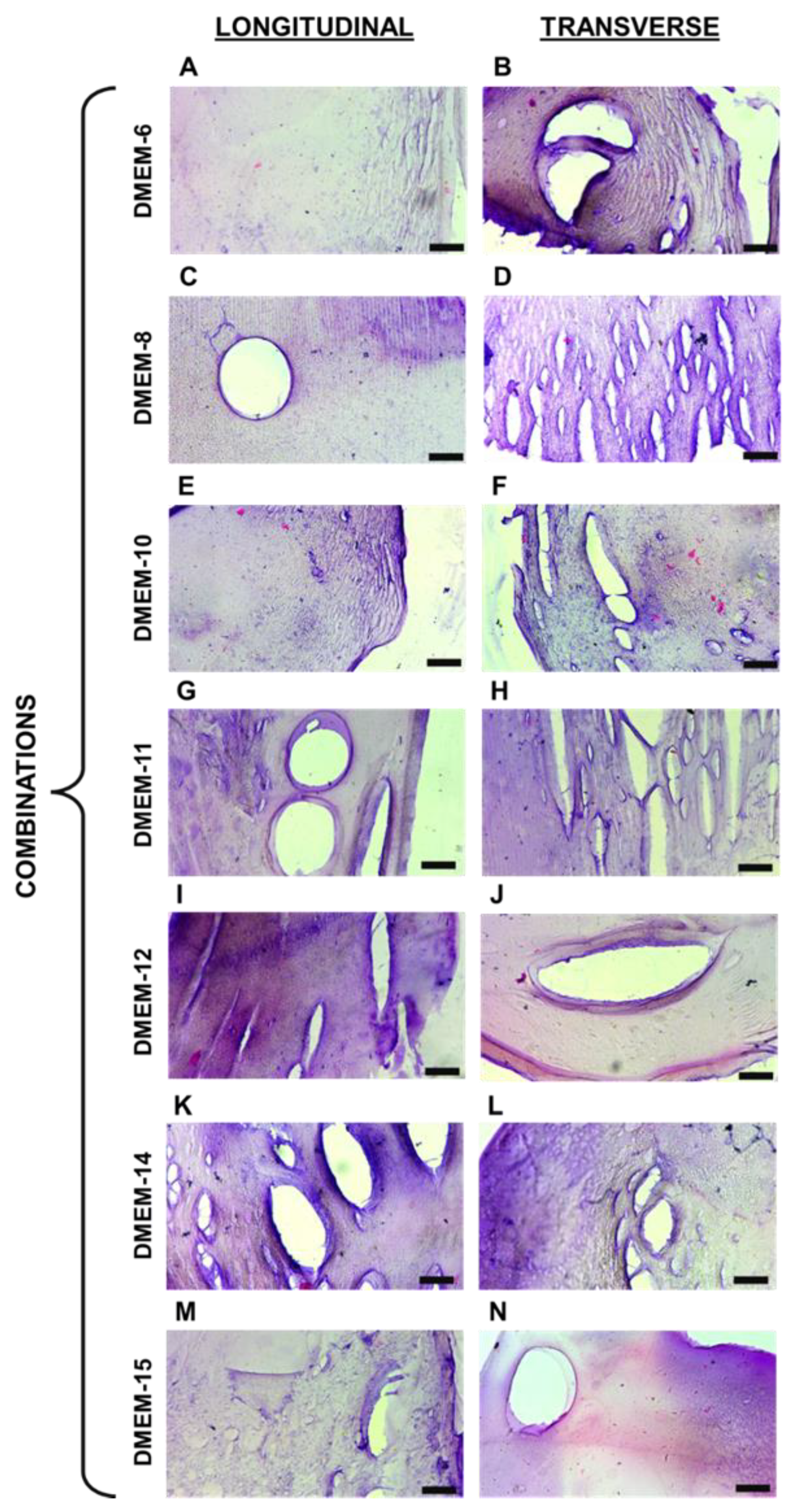 Preprints 142896 g003