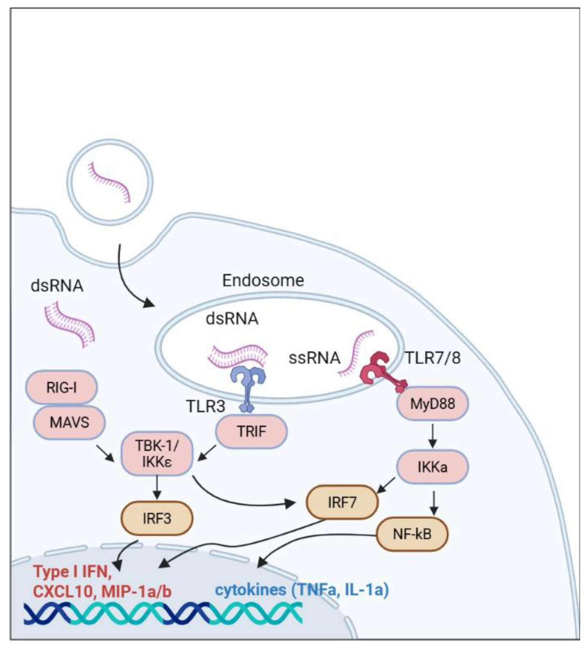 Preprints 189478 g001