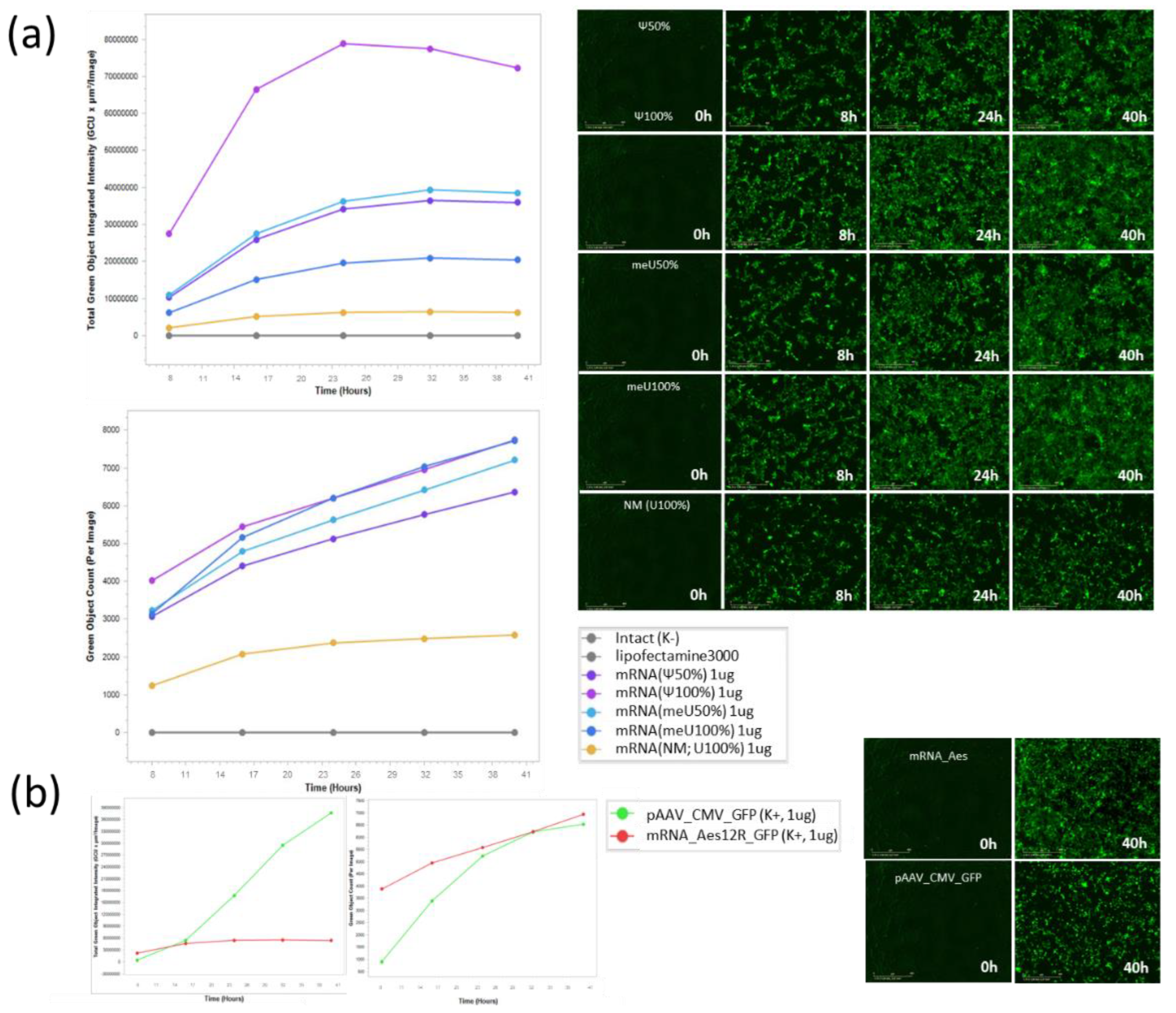 Preprints 189478 g003