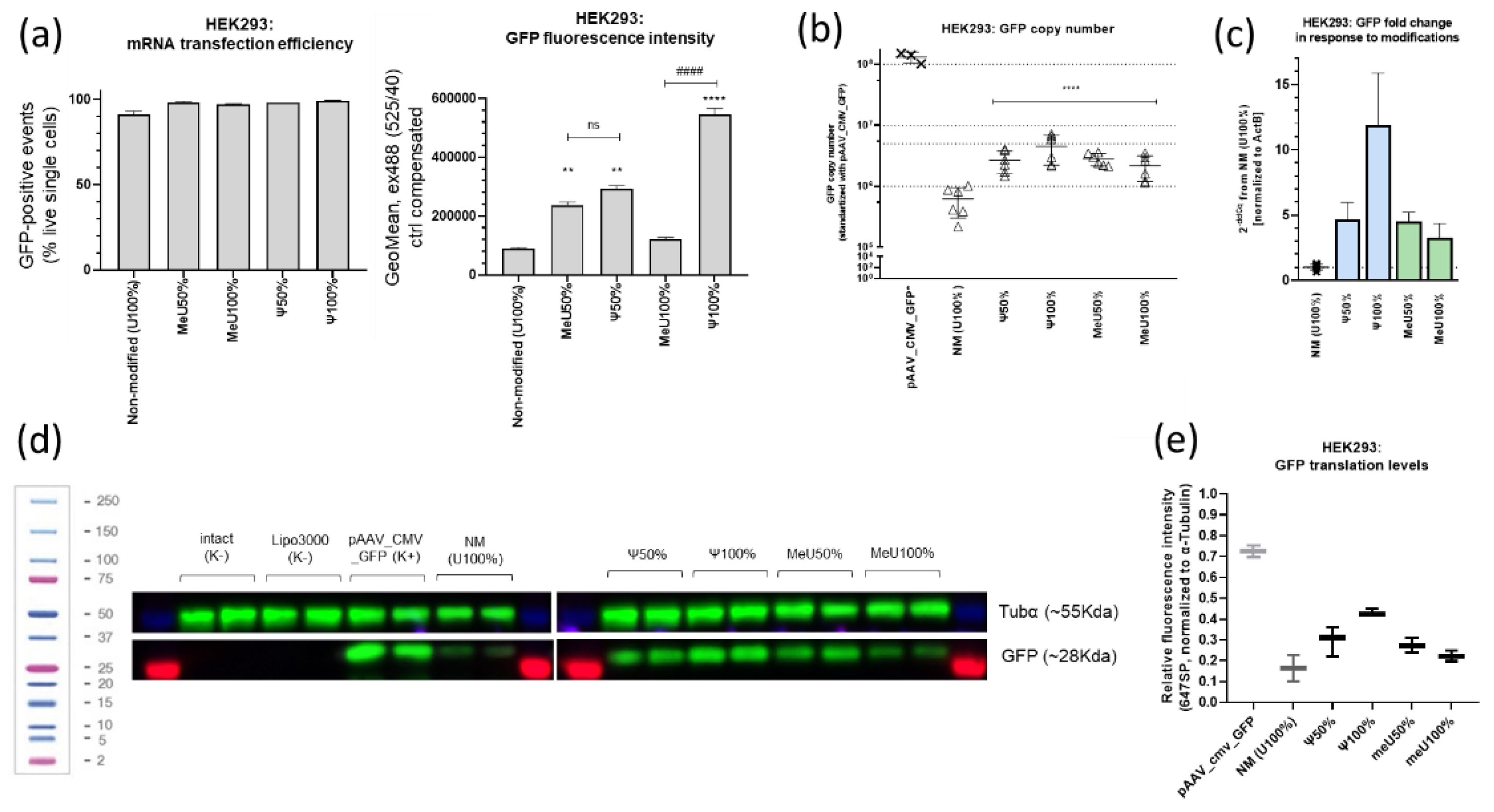 Preprints 189478 g004