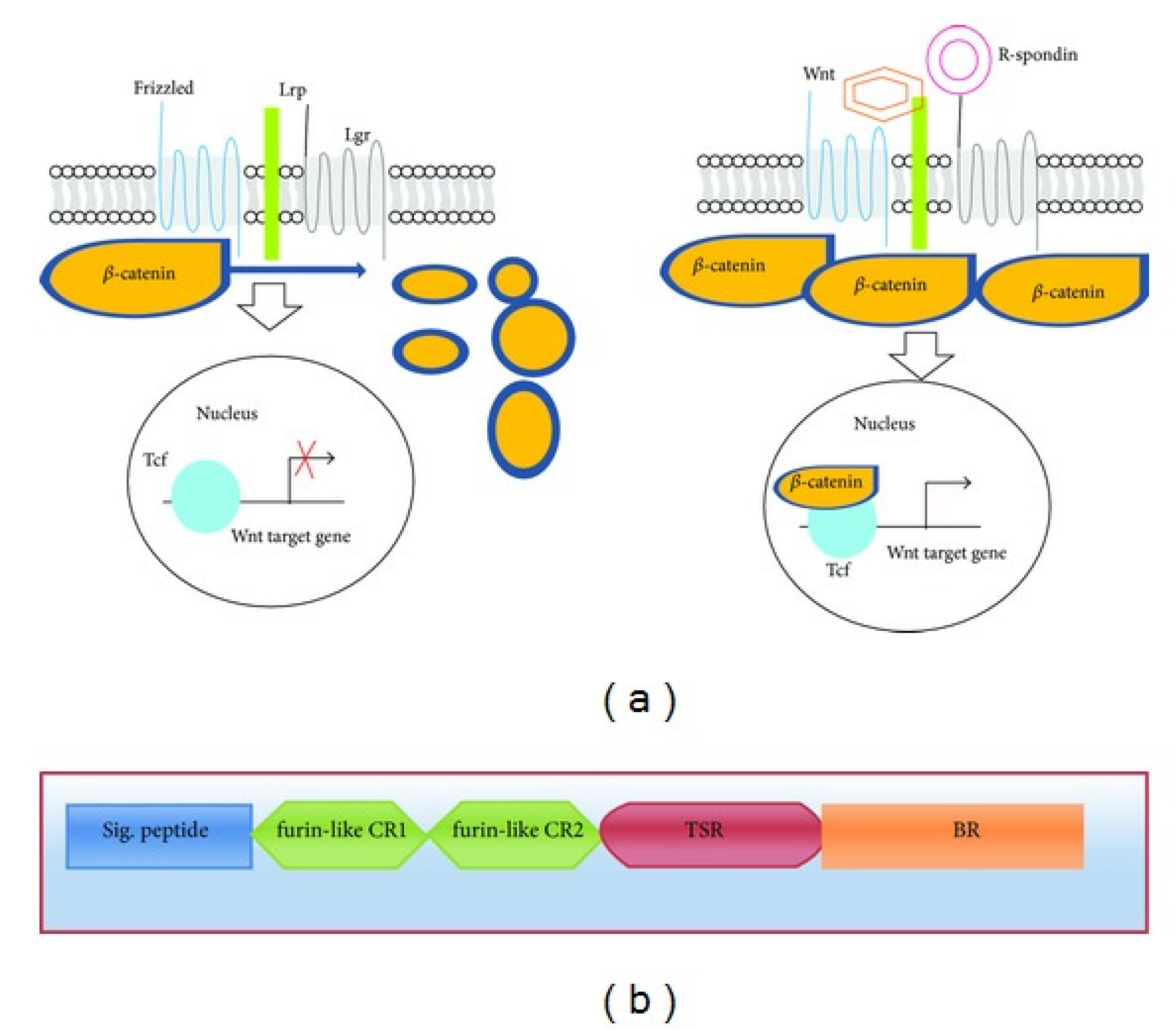 Preprints 184799 g001