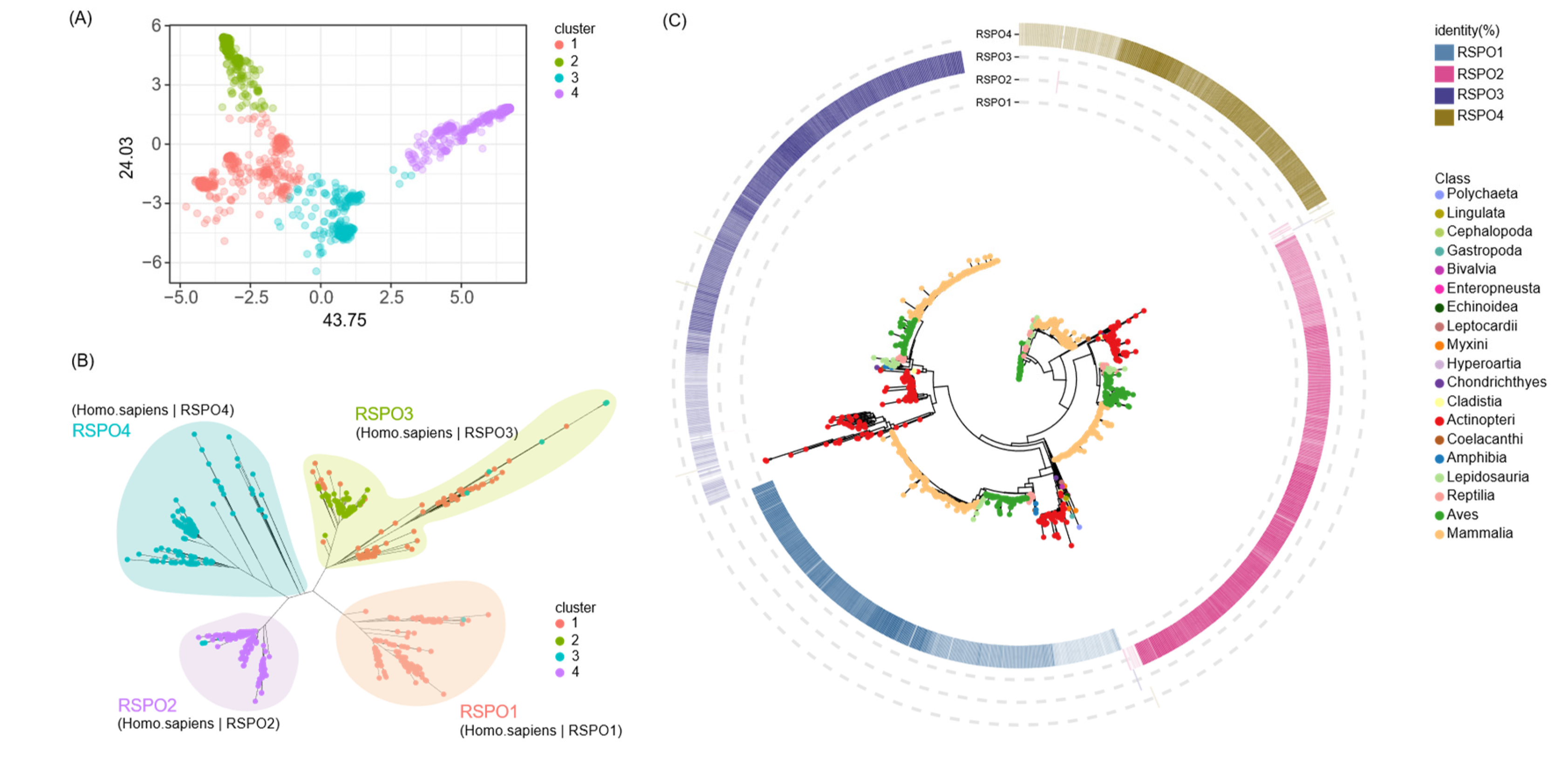 Preprints 184799 g002