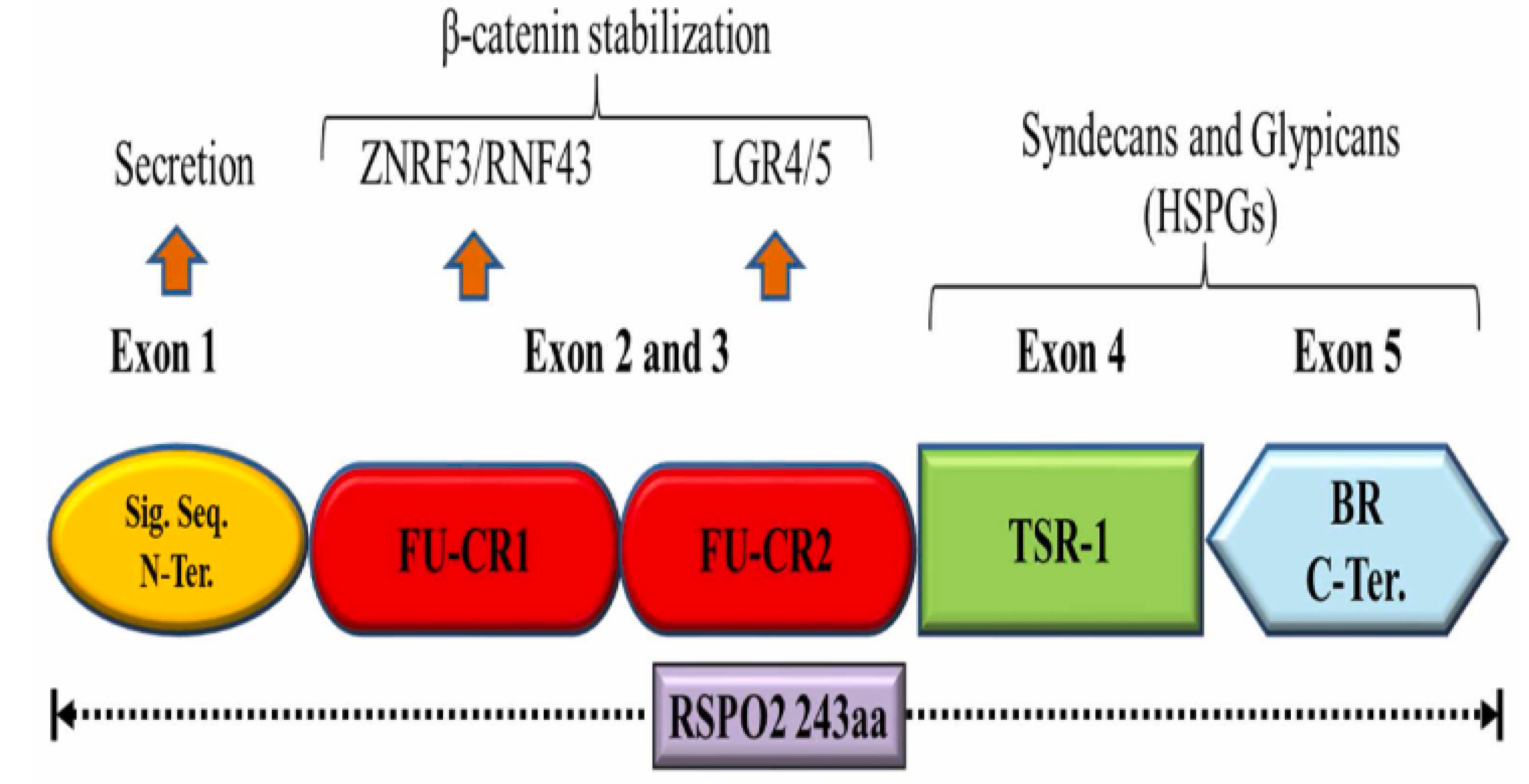 Preprints 184799 g003