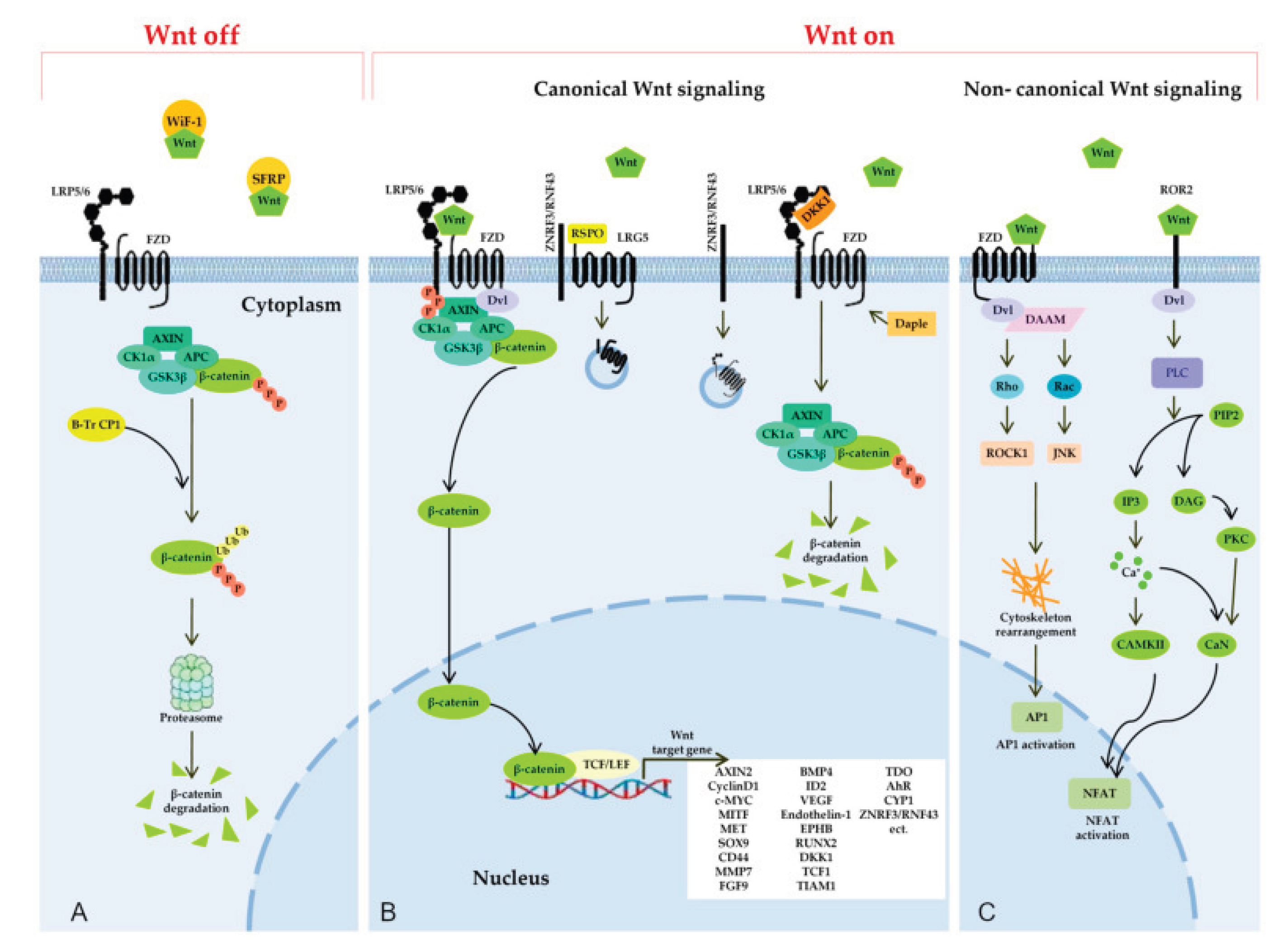 Preprints 184799 g004