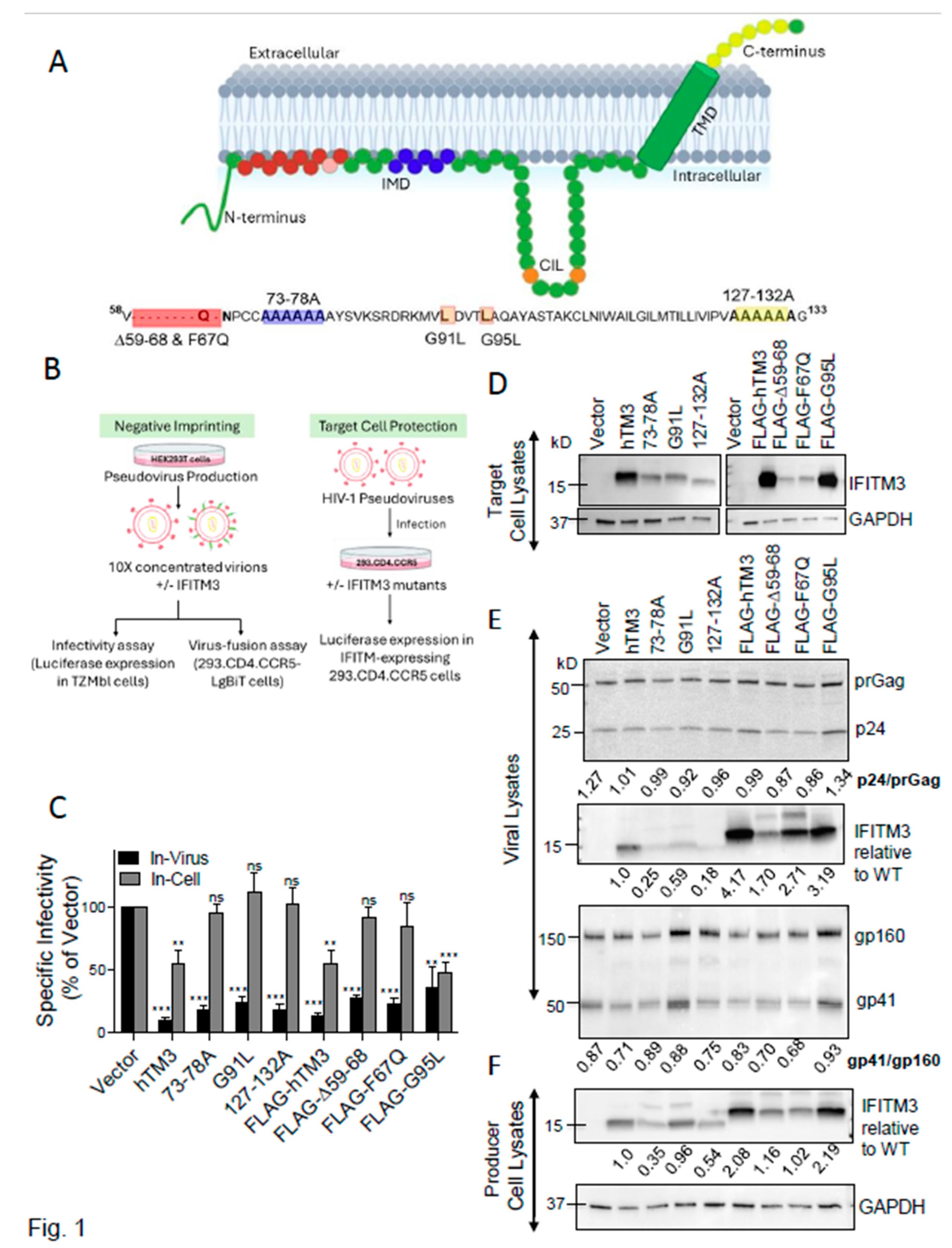 Preprints 198799 g001