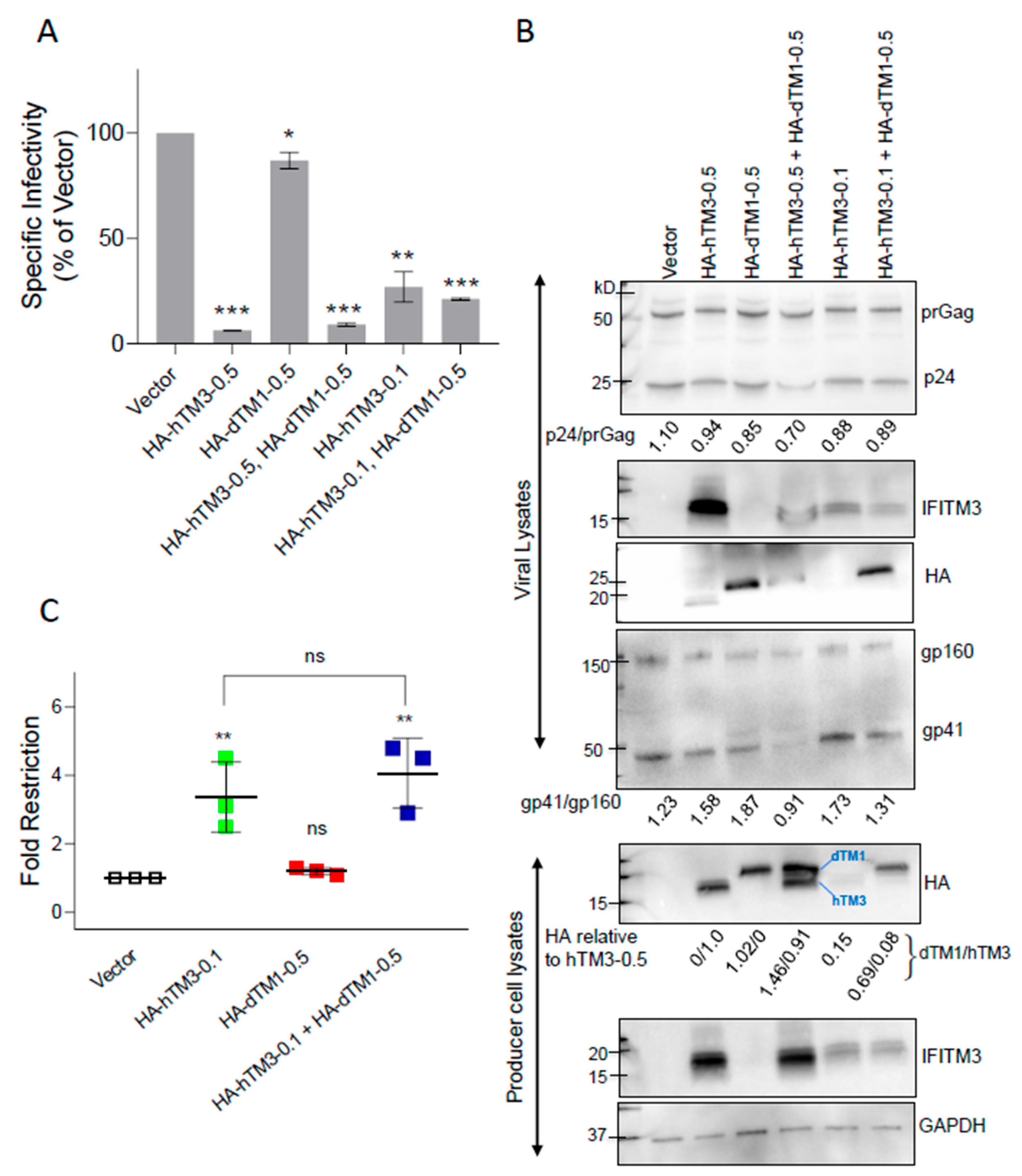 Preprints 198799 g006