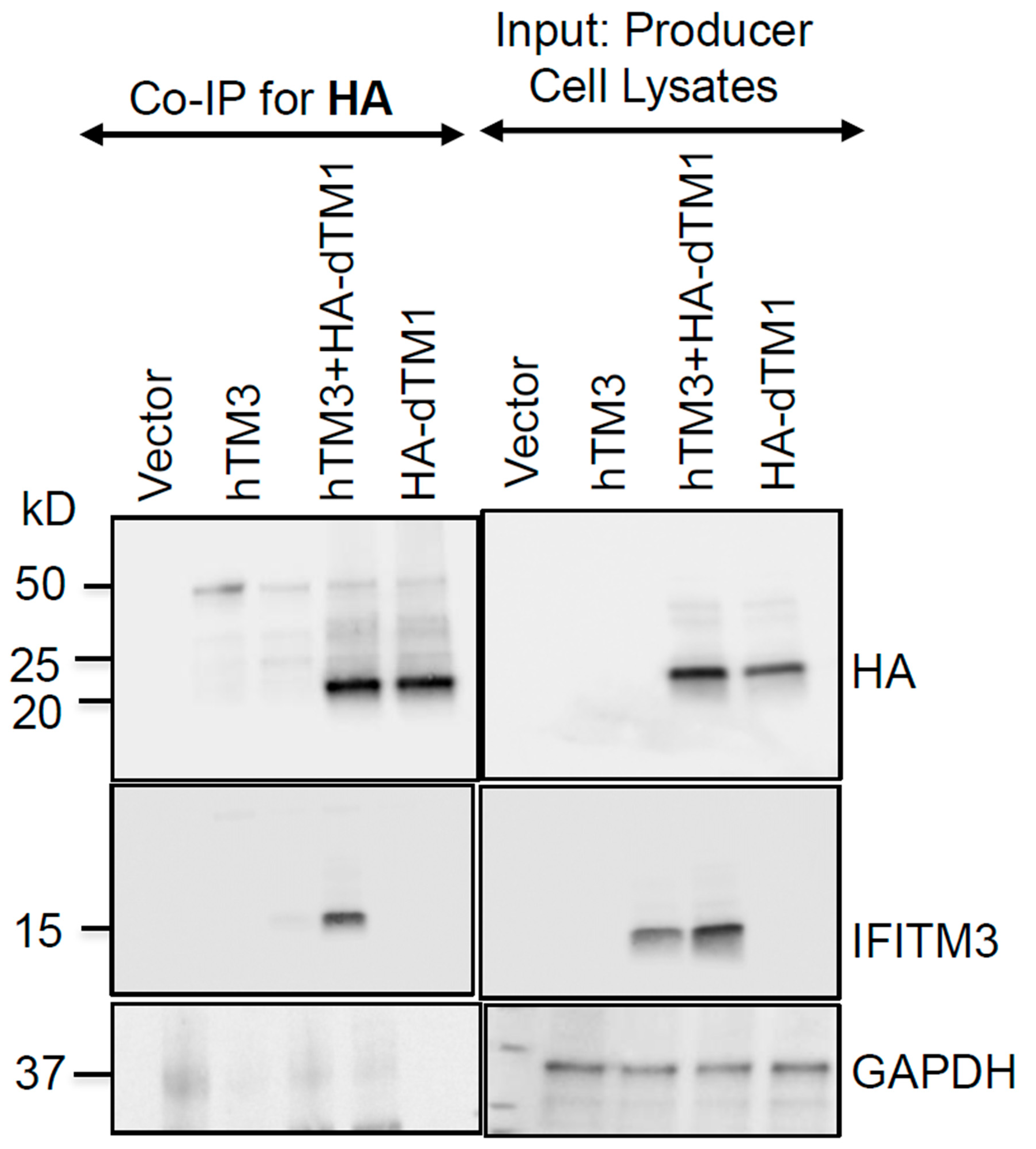 Preprints 198799 g007