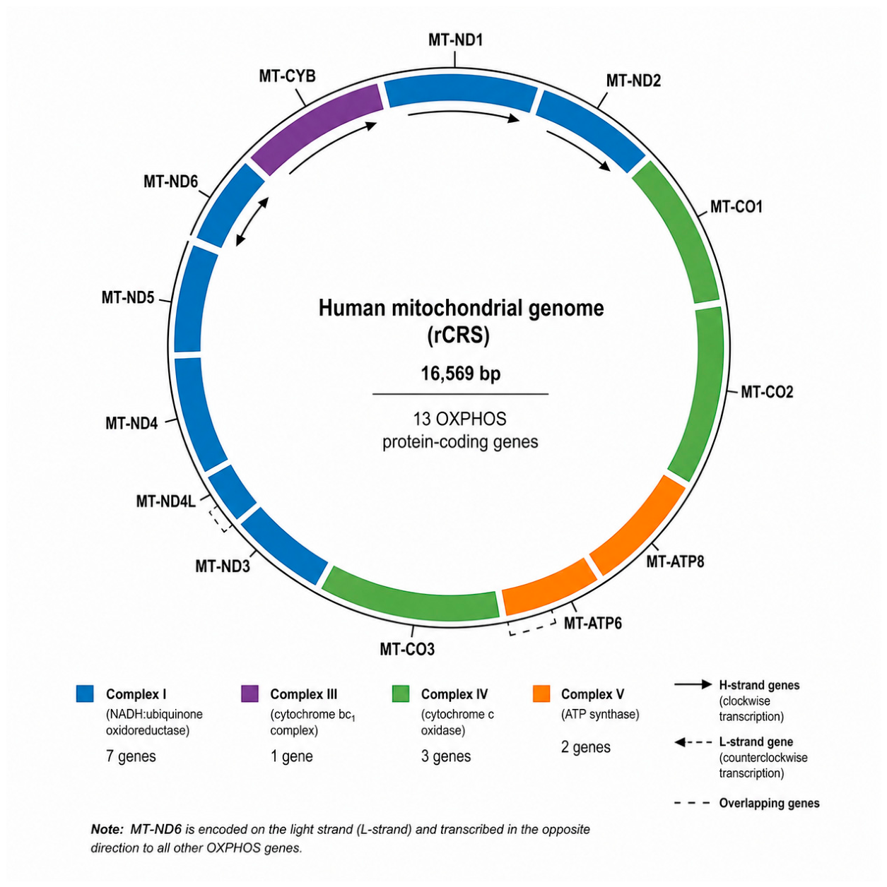 Preprints 215467 g001