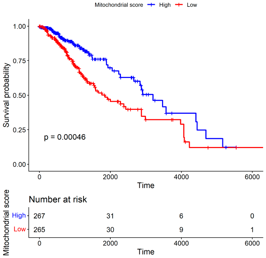 Preprints 215467 g004