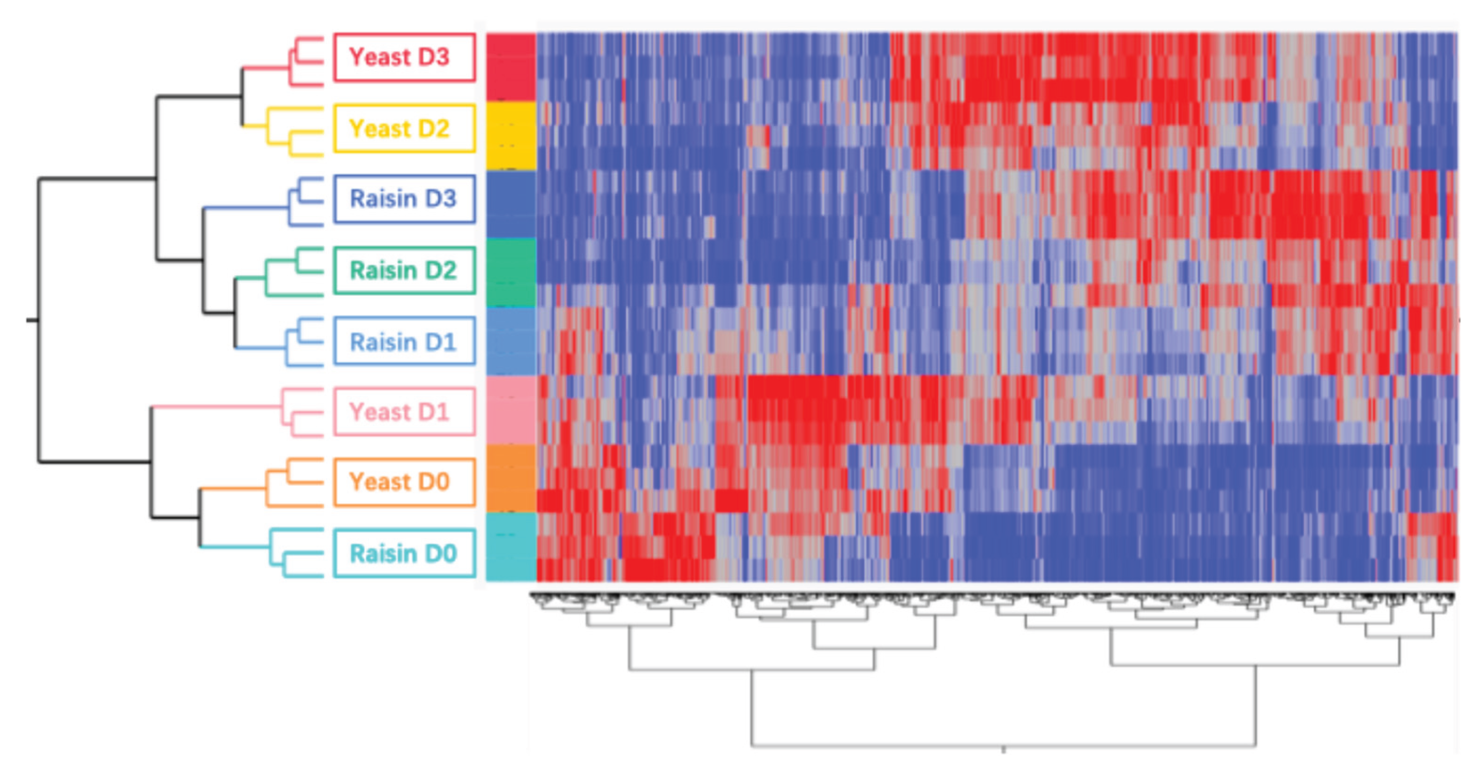 Preprints 194086 g001