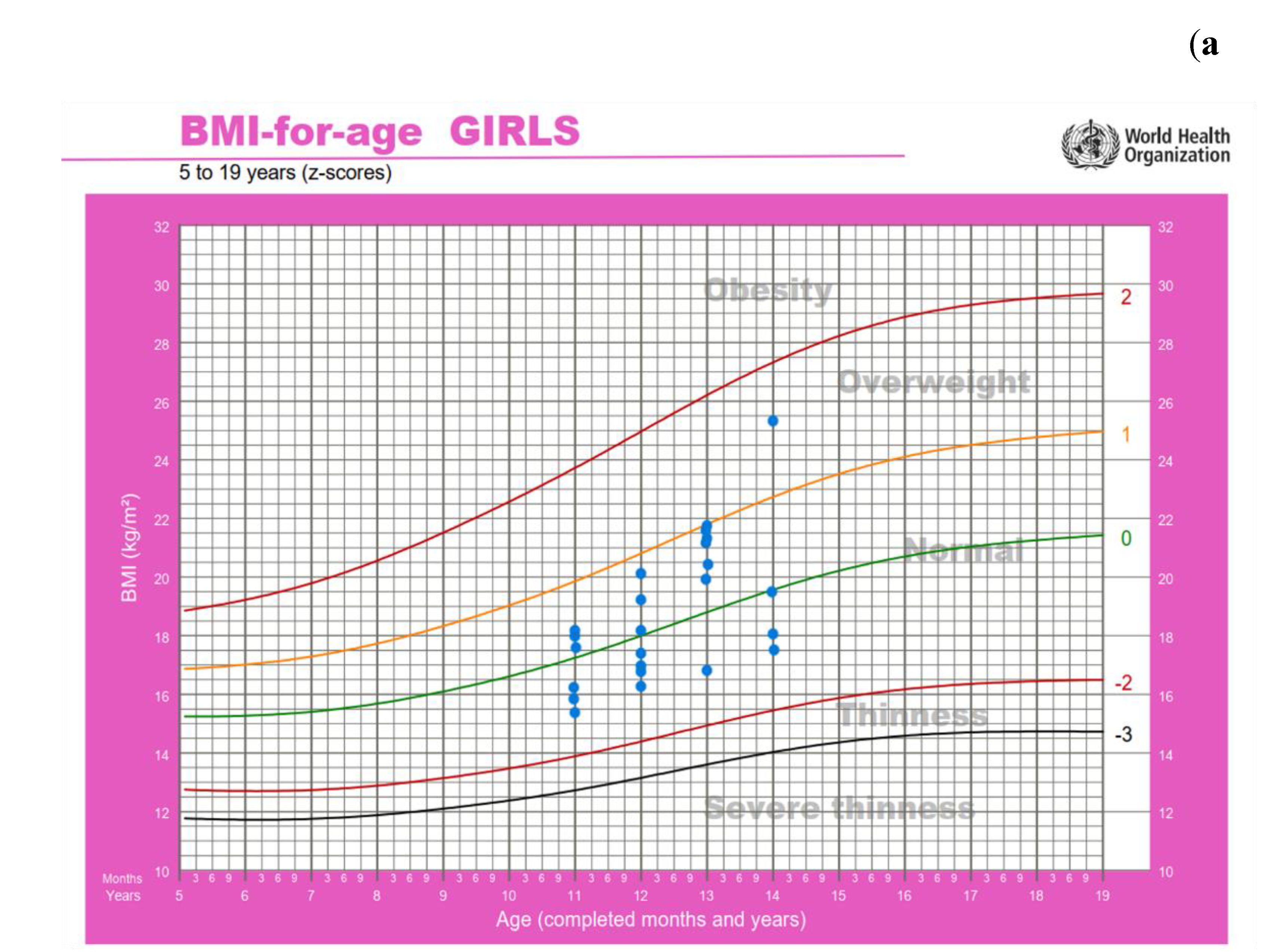 Preprints 191033 g002