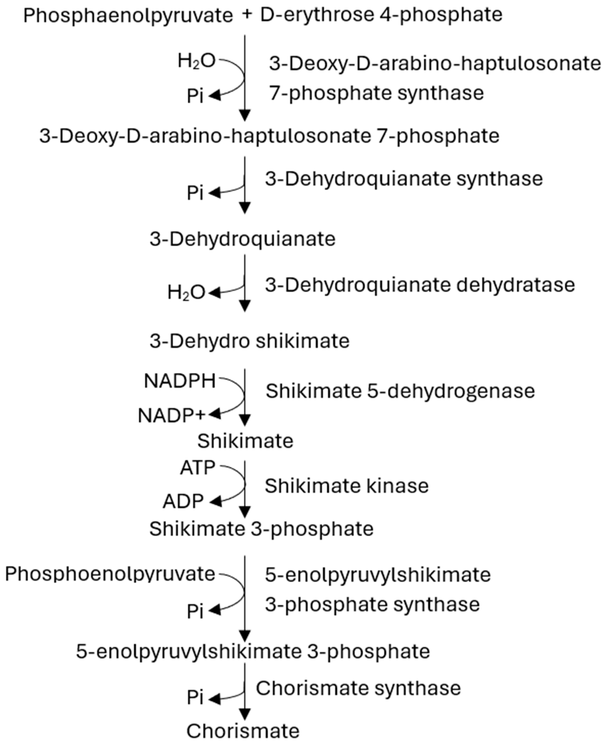 Preprints 139712 g001