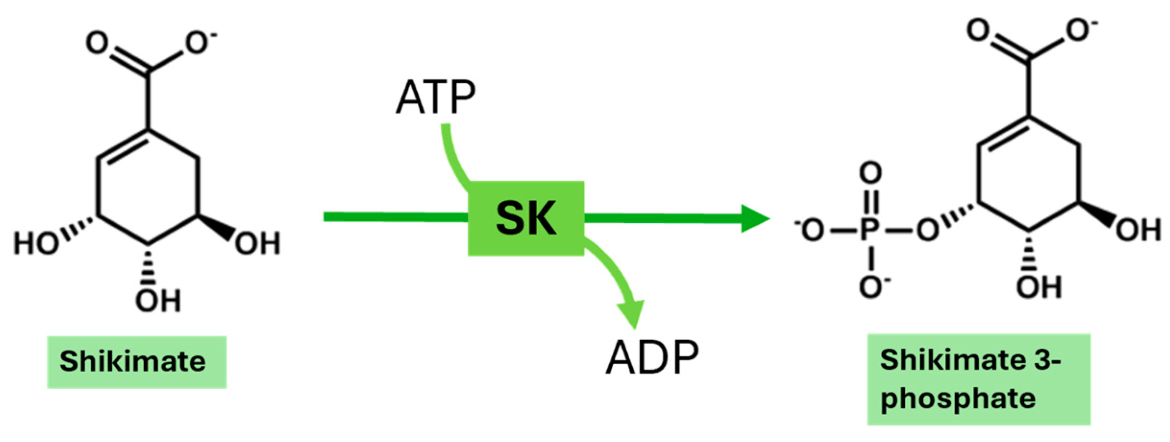 Preprints 139712 g002