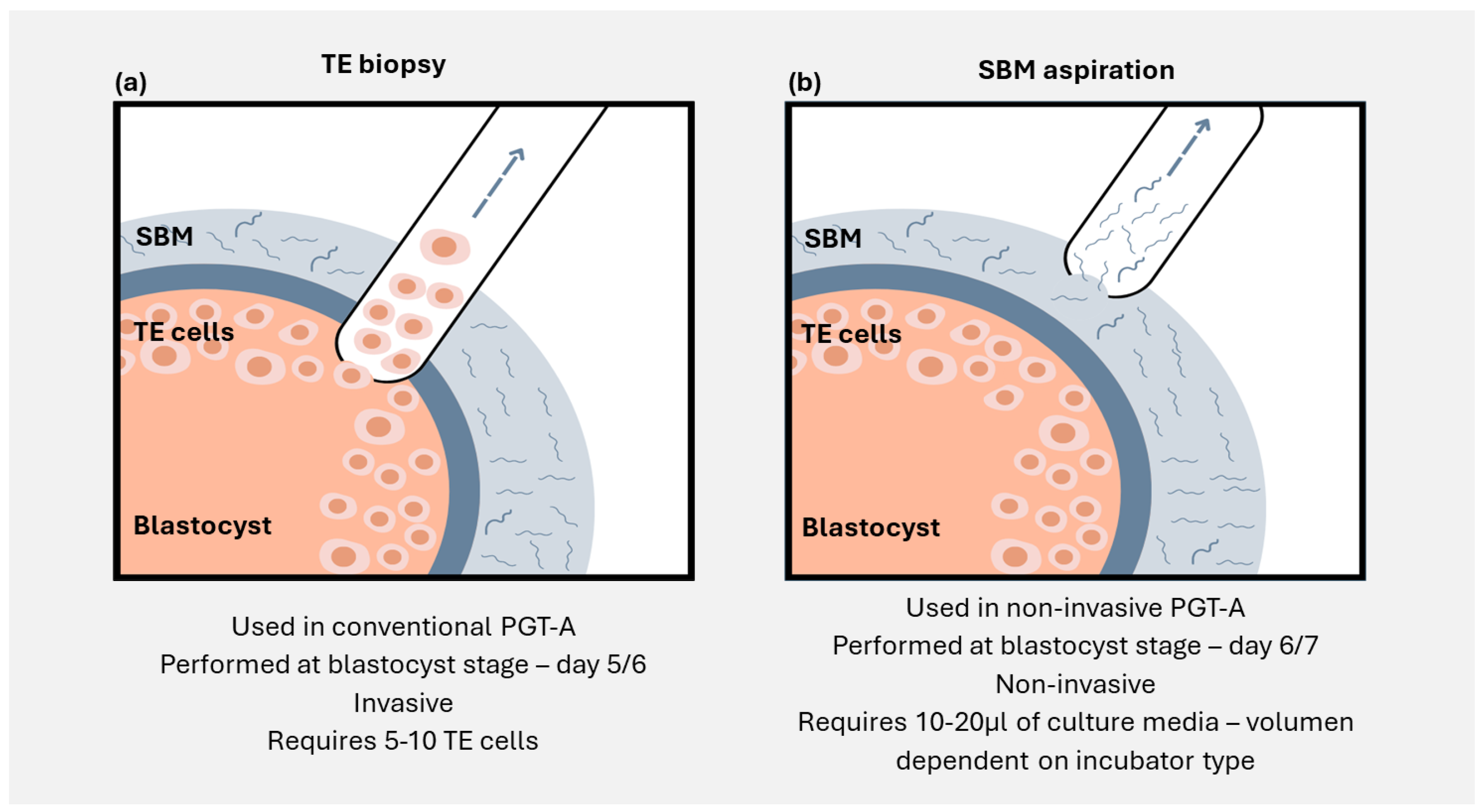 Preprints 153122 g001