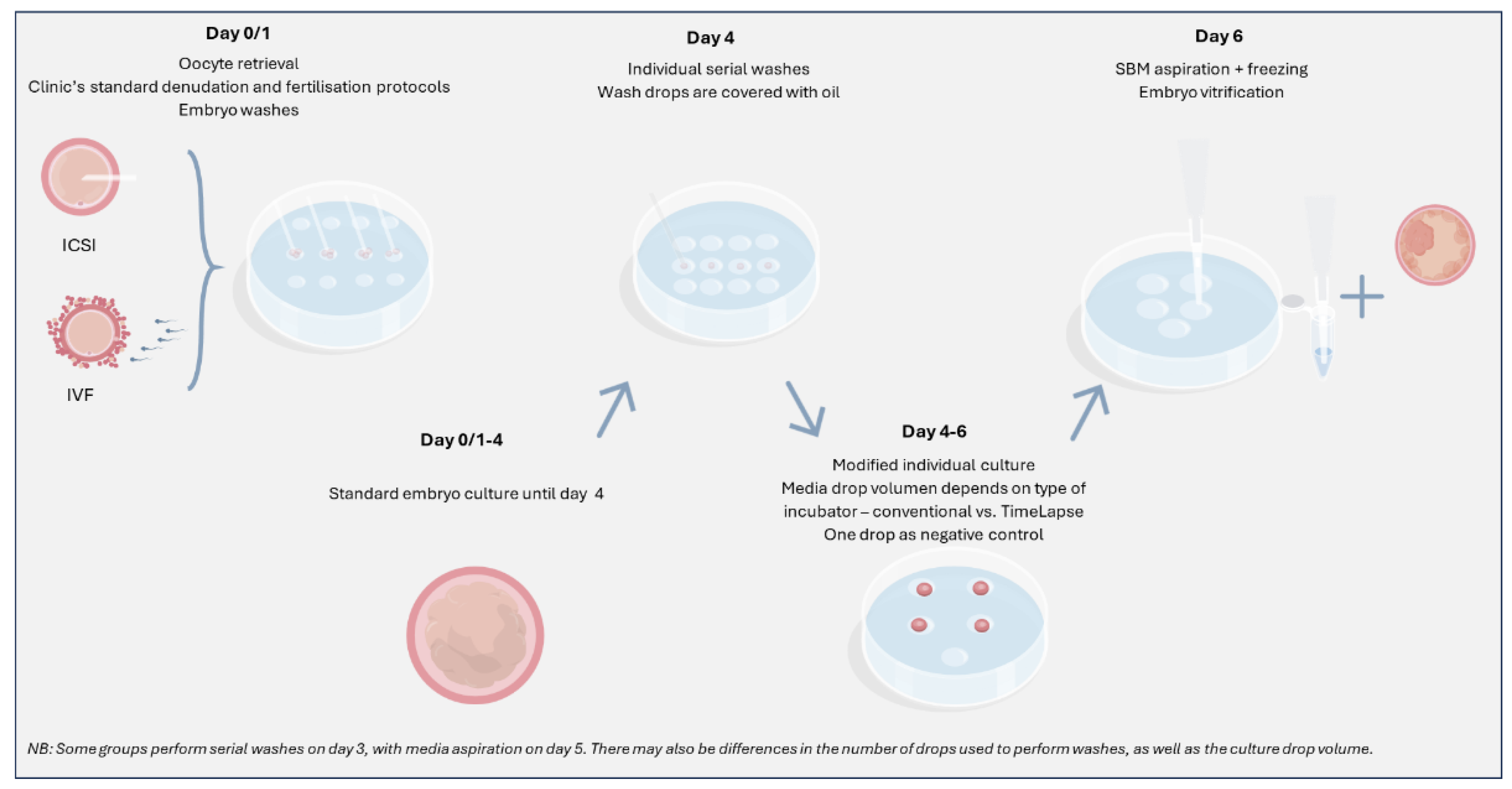 Preprints 153122 g003