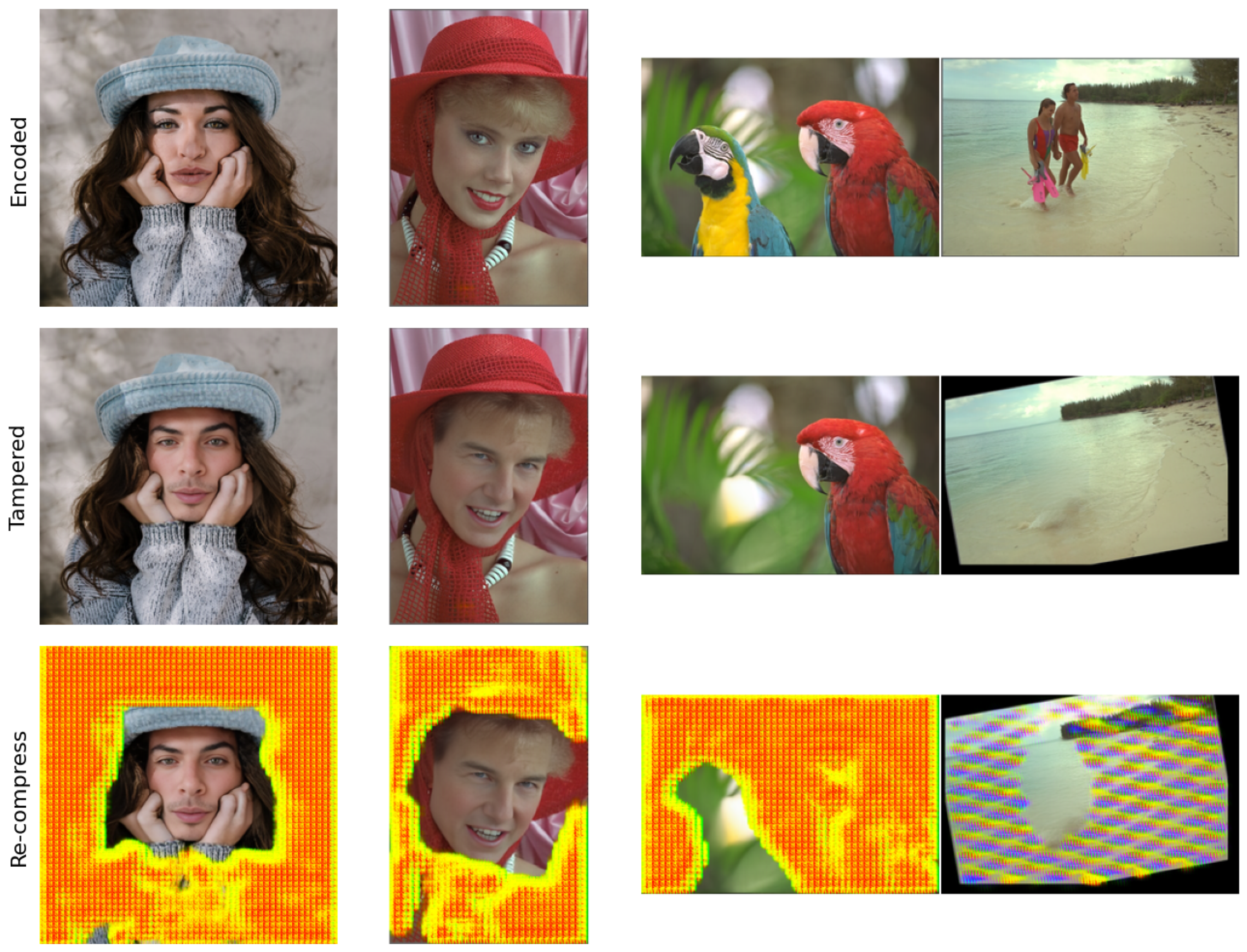 Preprints 121851 g006