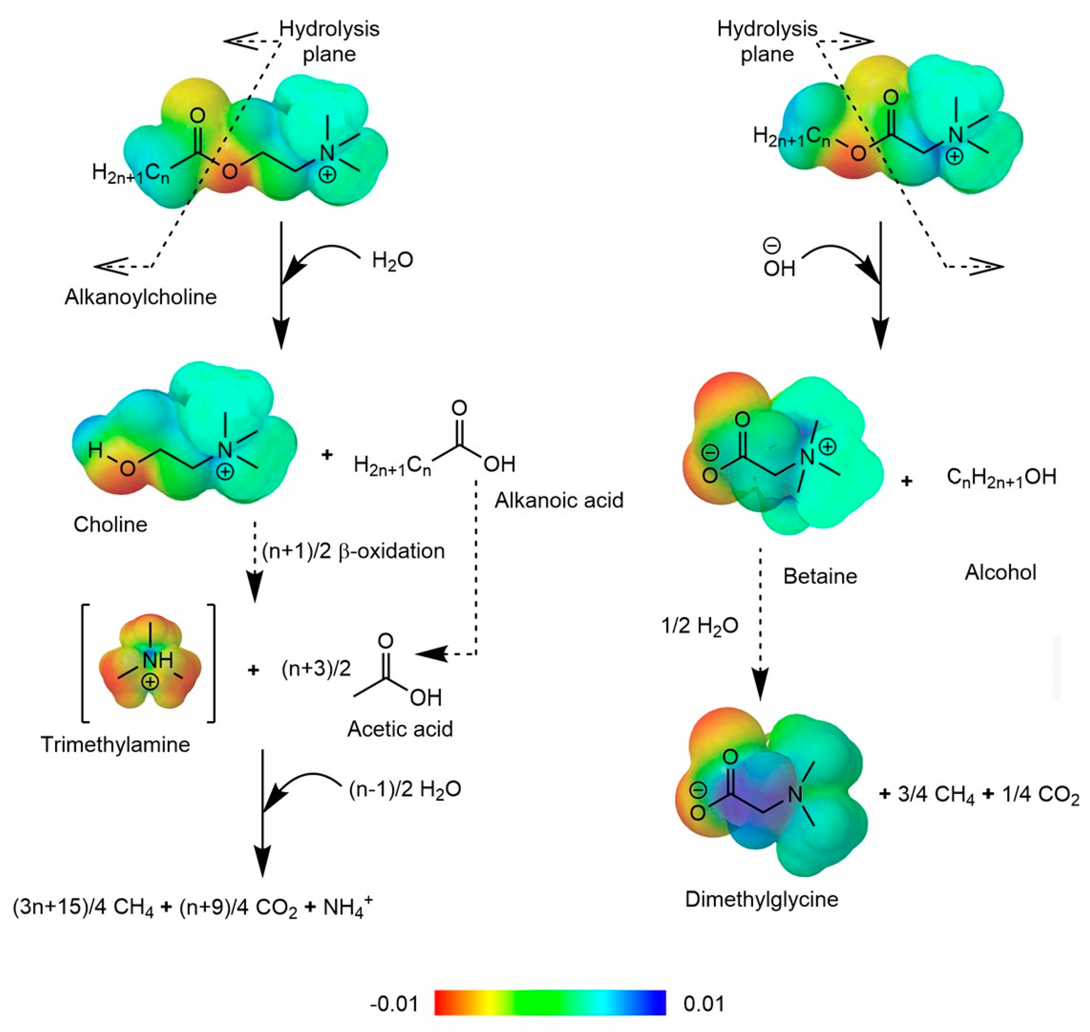 Preprints 103940 g008