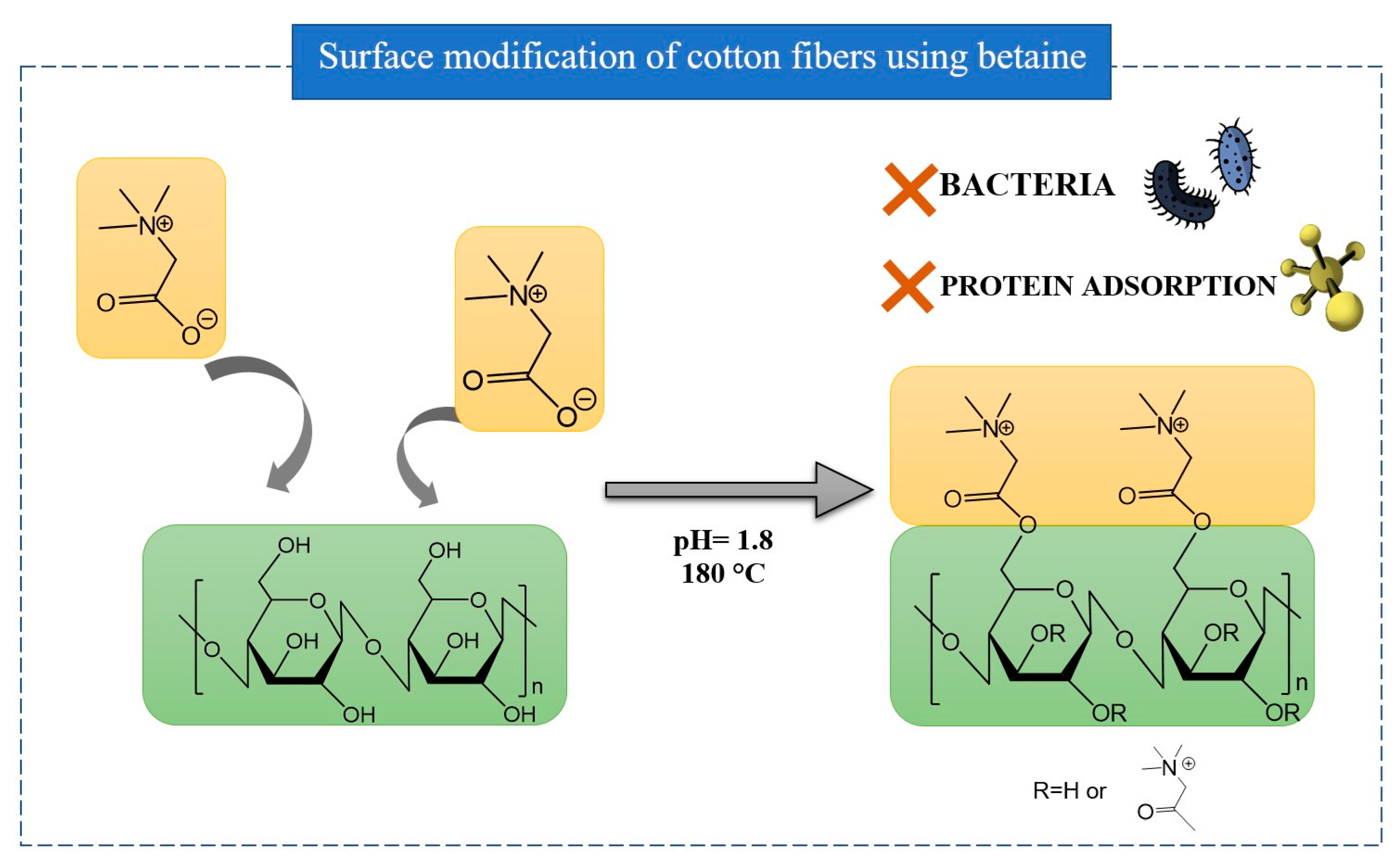Preprints 103940 g018